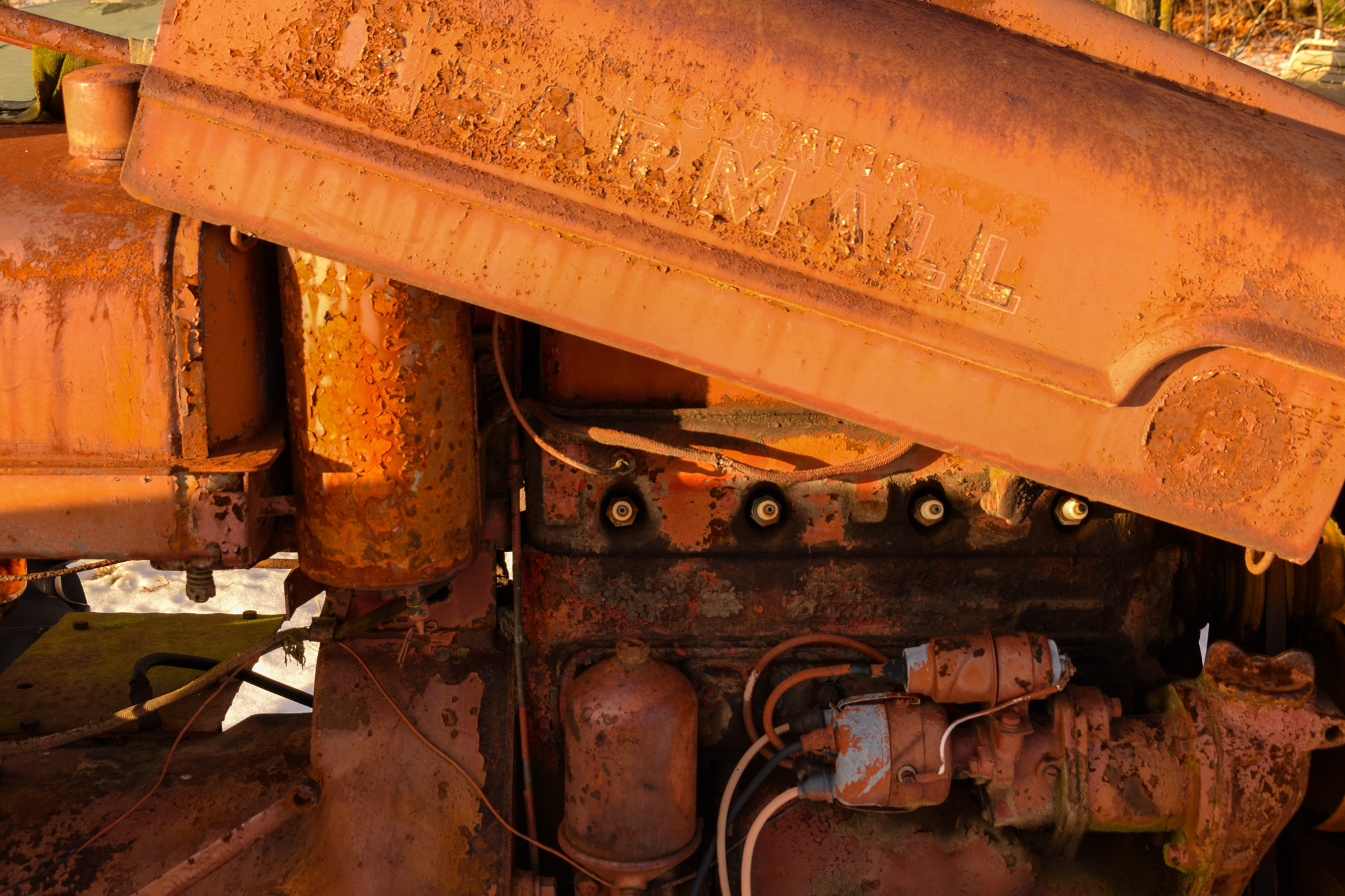 Sigma 28-300mm F3.5-6.3 DG Macro sample photo. Farmall photography
