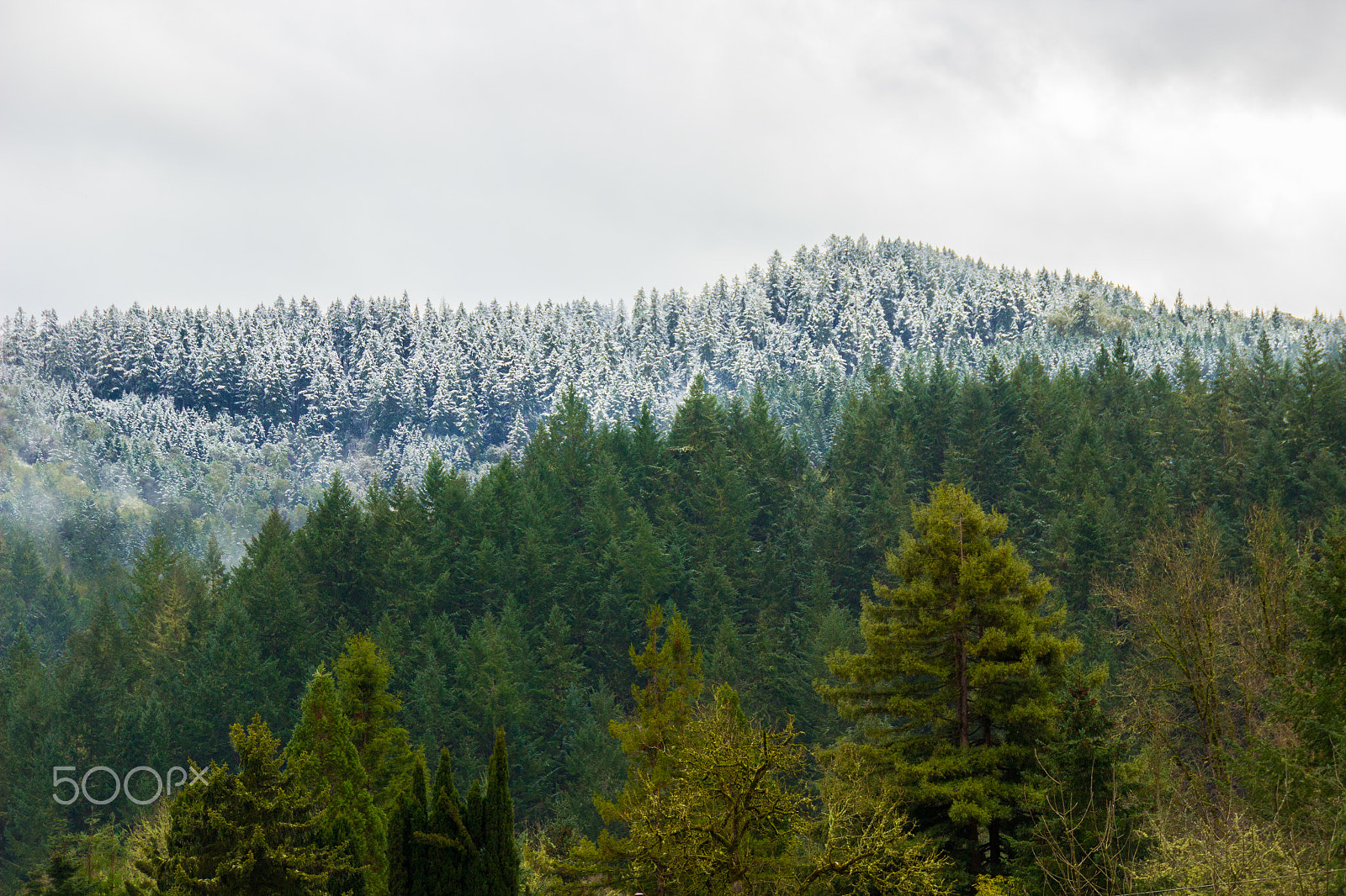 Sigma 18-250mm F3.5-6.3 DC OS HSM sample photo. Snow kissed hills photography