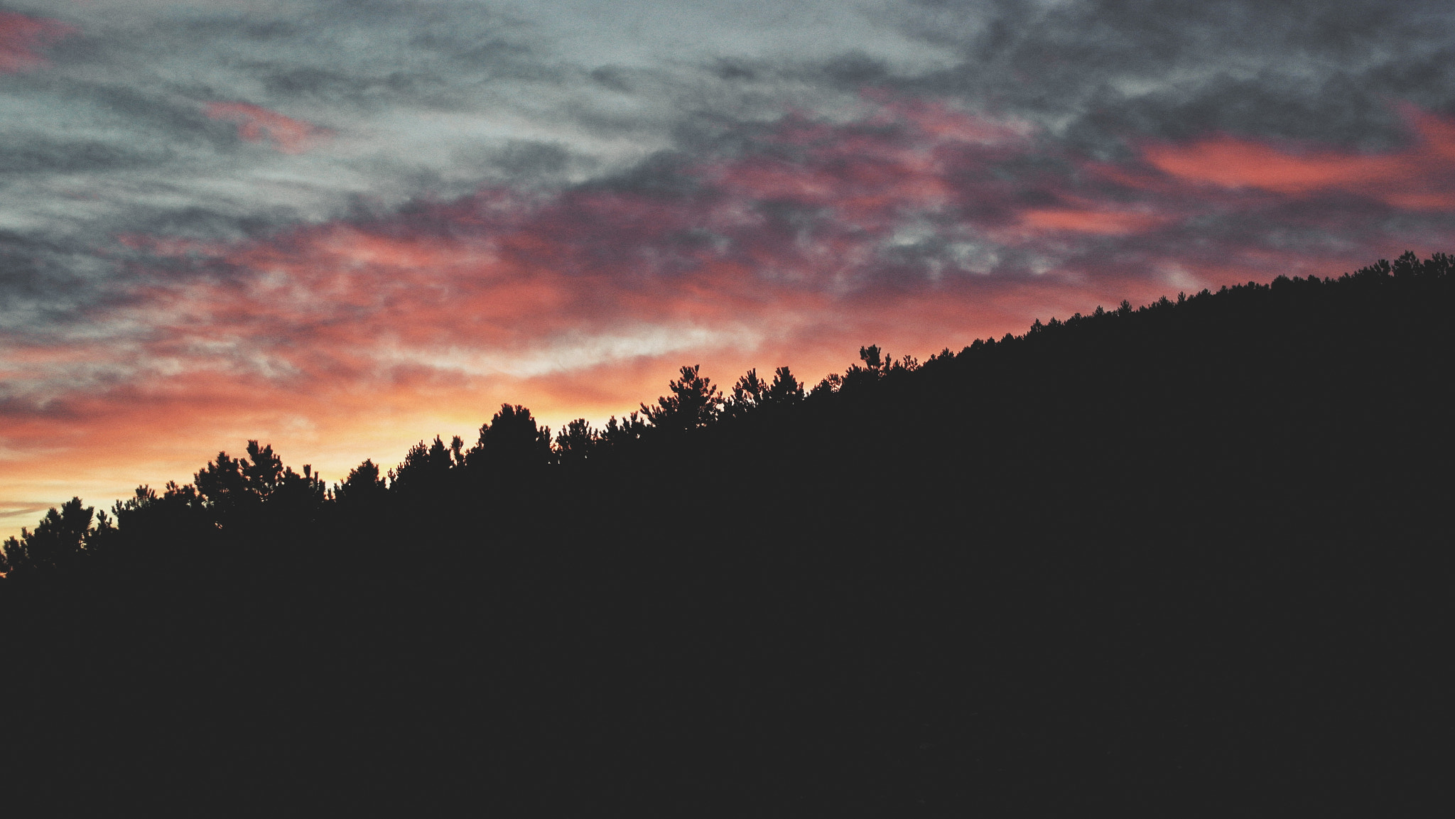 Samsung NX1100 sample photo. Pines skyline photography
