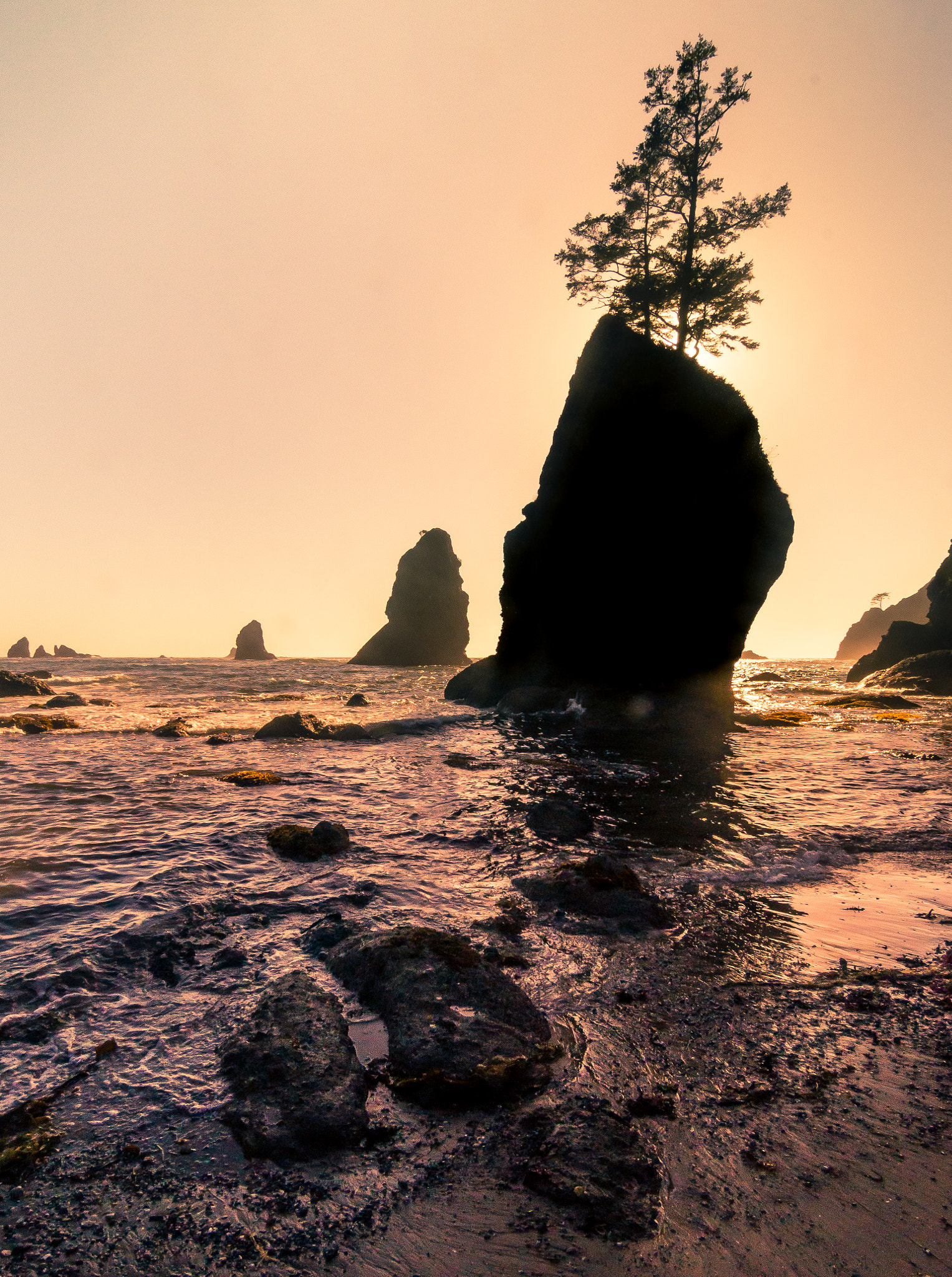 Sony SLT-A57 + 20mm F2.8 sample photo. Hazy sunset photography
