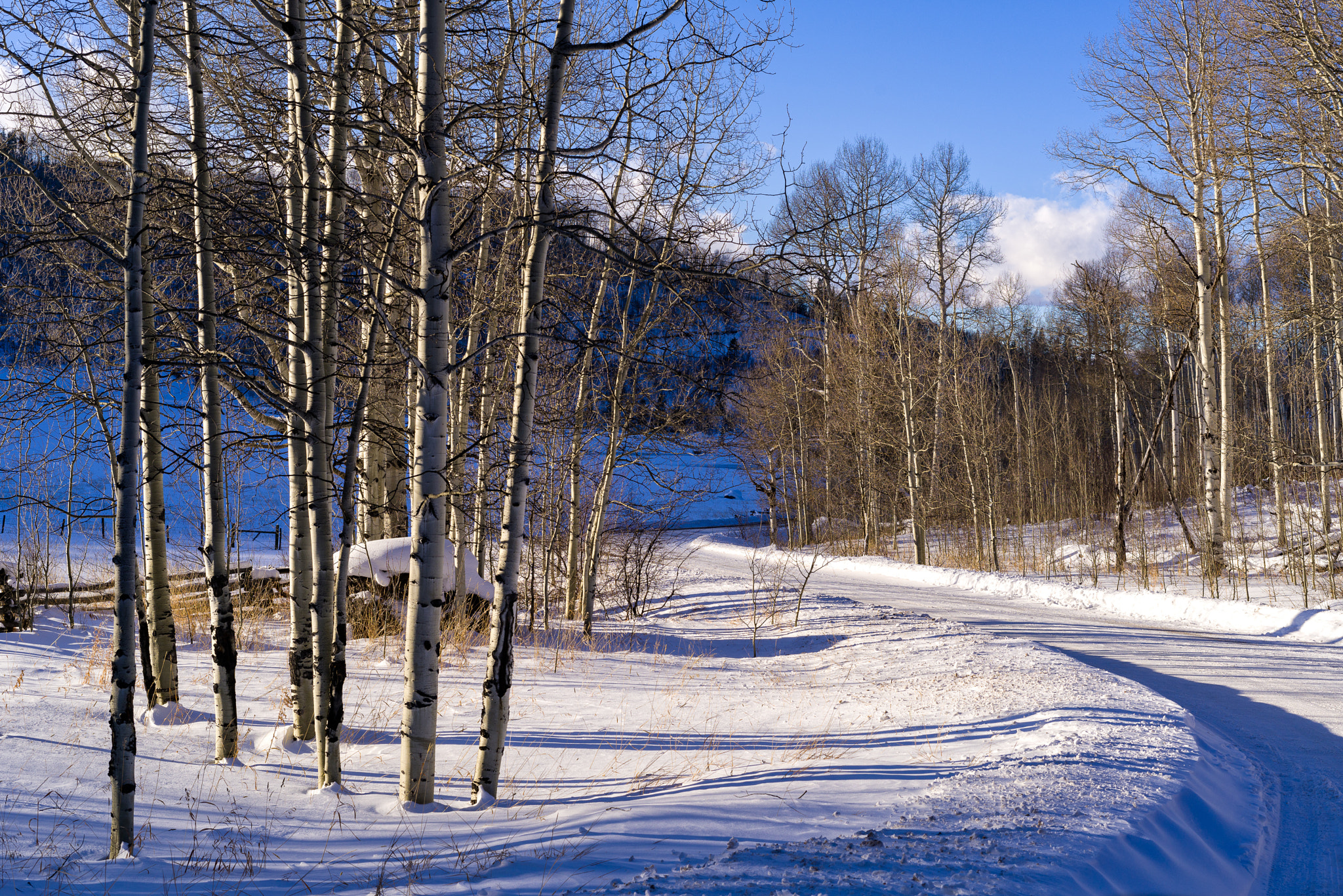 Sony a7R II + Sony FE 50mm F1.8 sample photo. Scenic mountain road in winter with curves photography