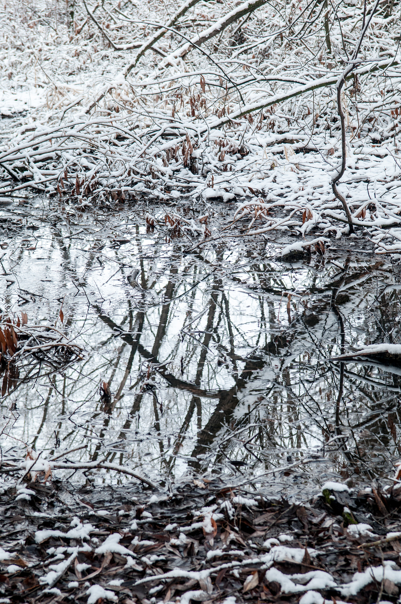 Nikon D300 sample photo. Cold reflections photography