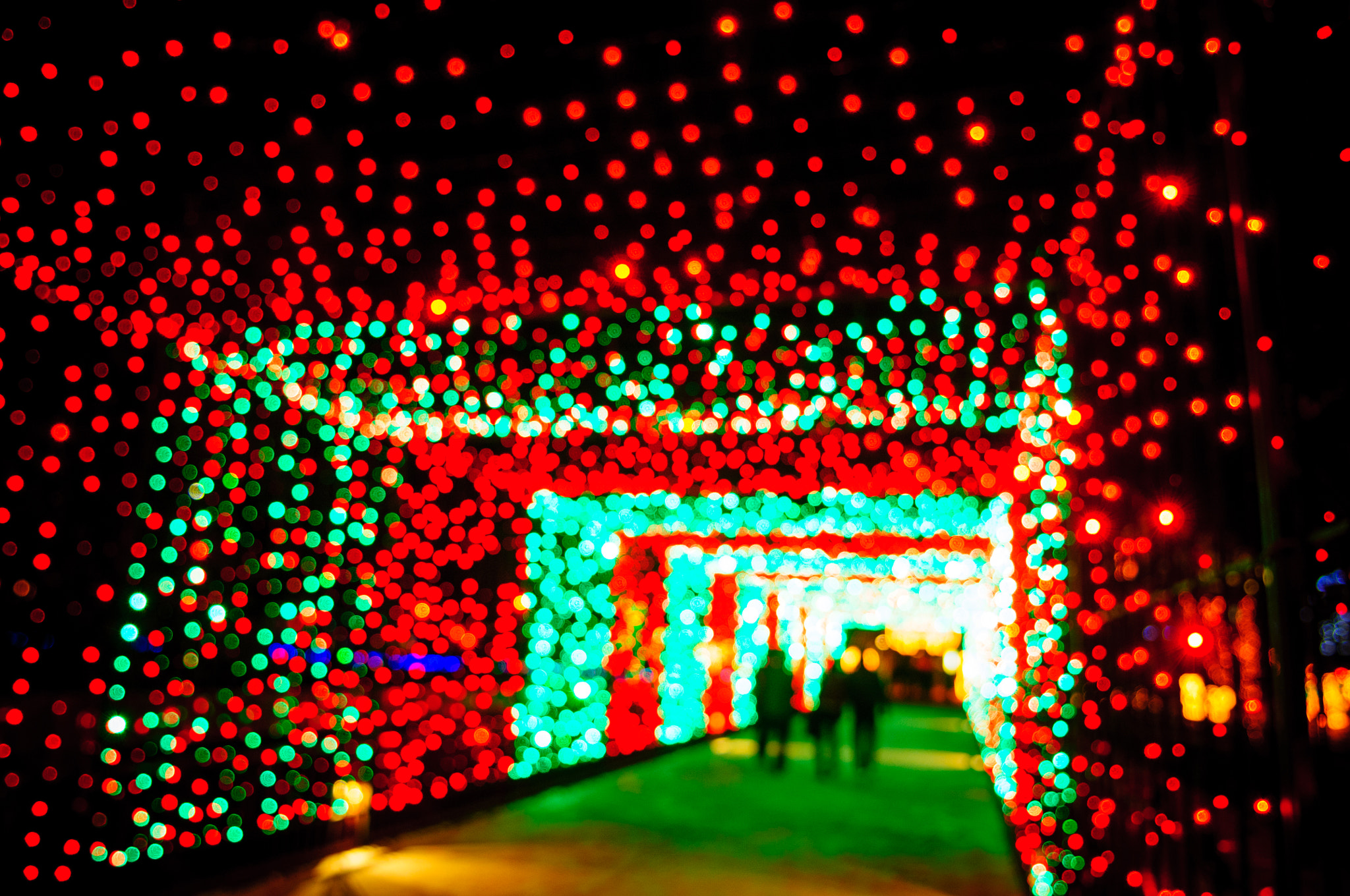Nikon D300 sample photo. Zoo lights abstract photography