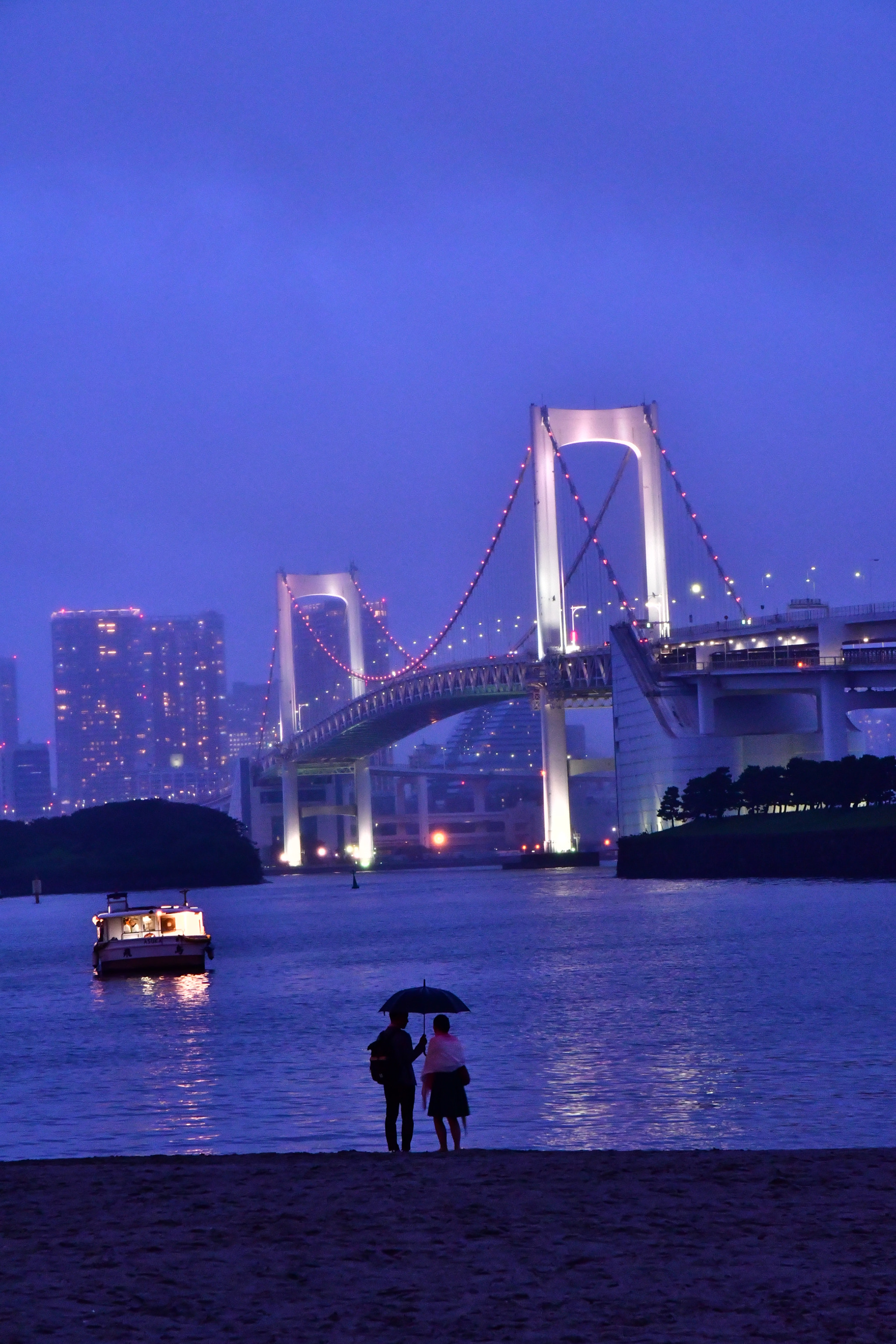 Sigma 17-70mm F2.8-4 DC Macro OS HSM | C sample photo. A rainy day at odaiba seaside park photography