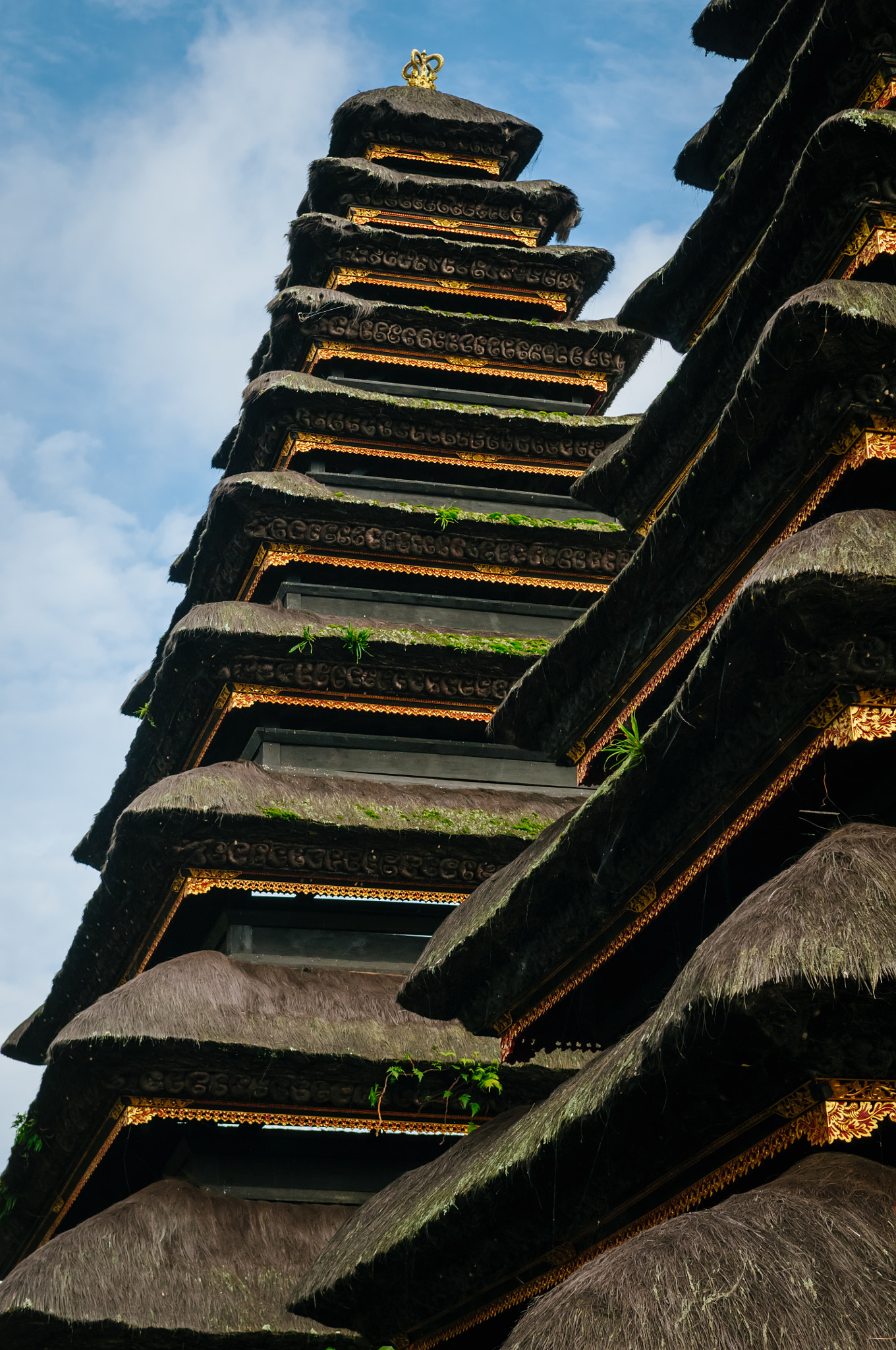 Nikon D300 sample photo. Thatched temple roof photography