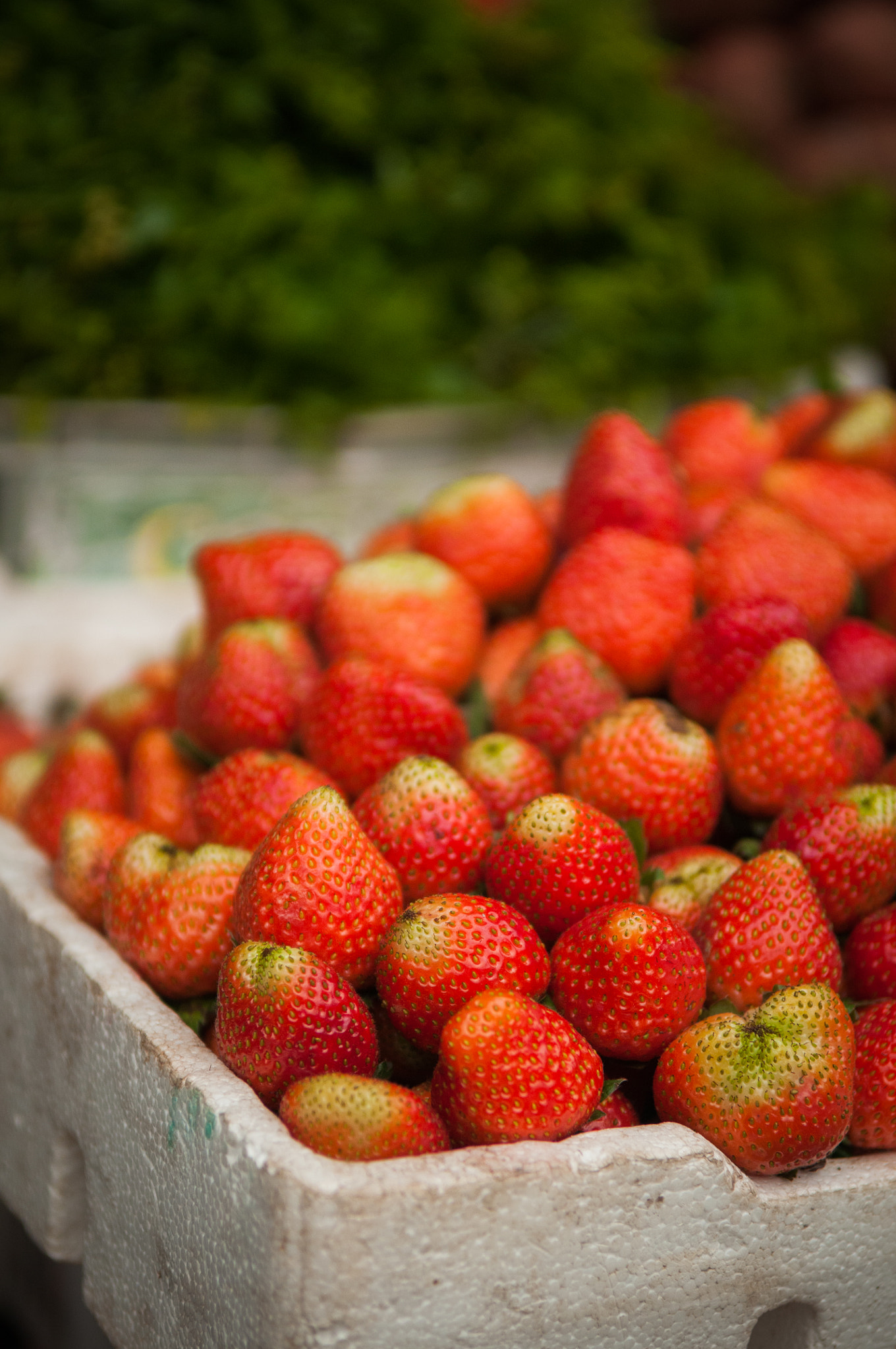 Nikon D300 sample photo. Strawberries photography