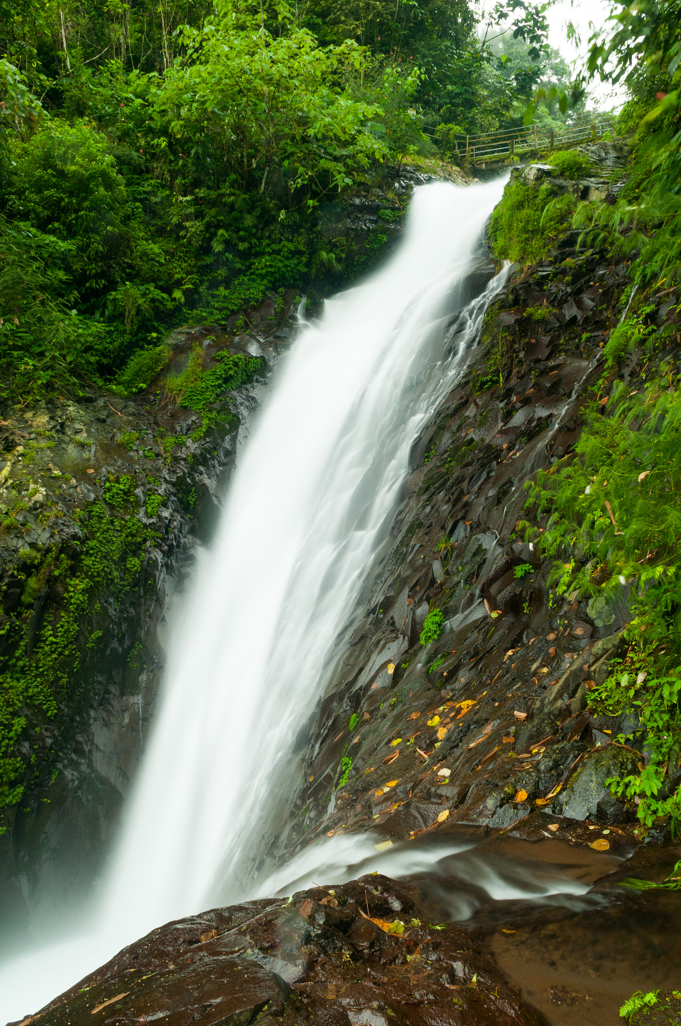 Nikon D300 sample photo. Gitgit twin waterfall photography