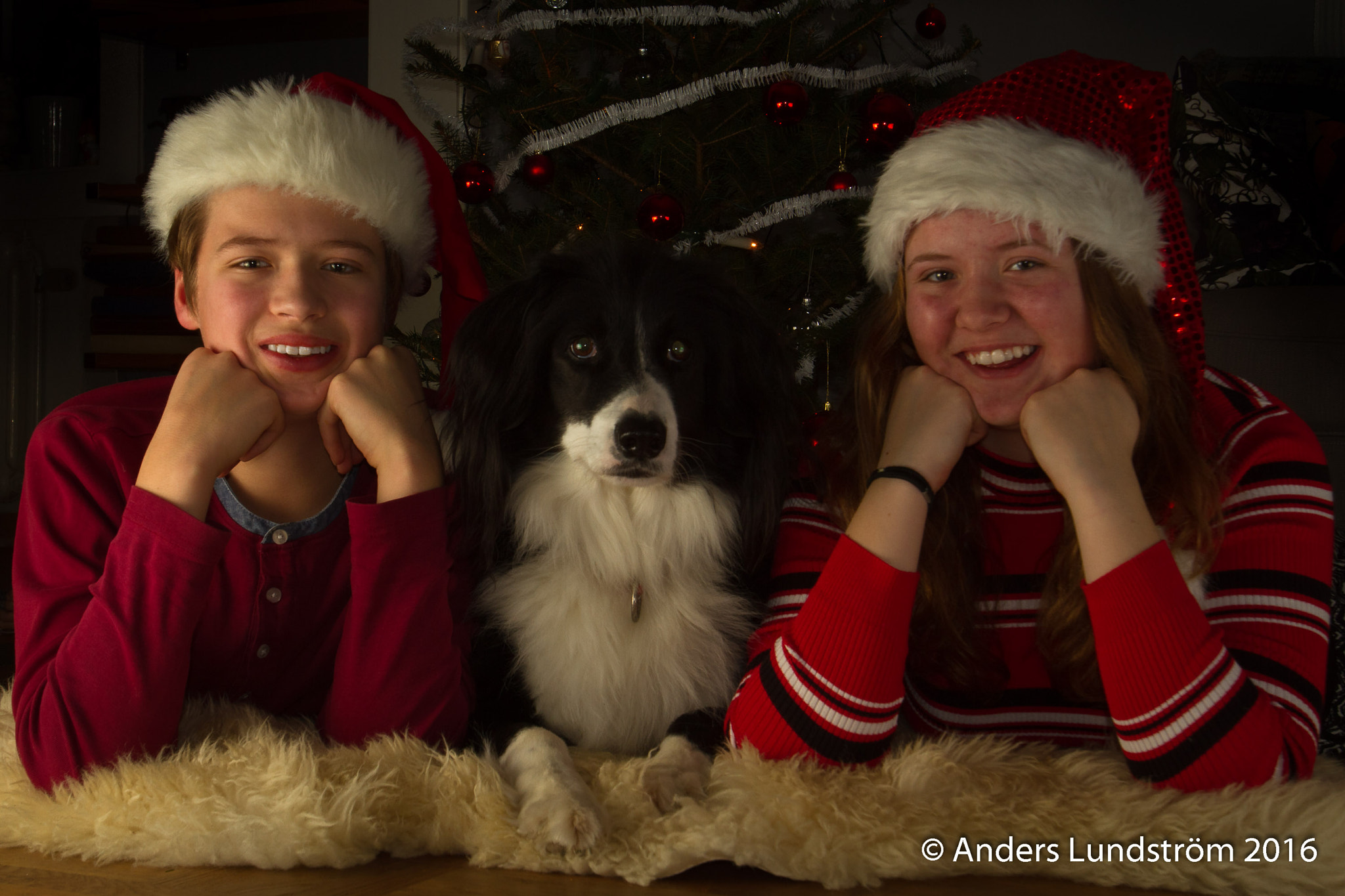 Canon EOS 7D sample photo. Barnen snö och sol och hunden chanza framför gran = jul photography