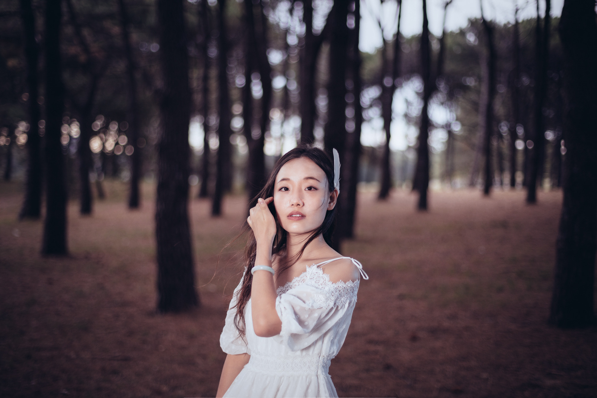 Canon EOS 5DS + Canon EF 50mm F1.4 USM sample photo