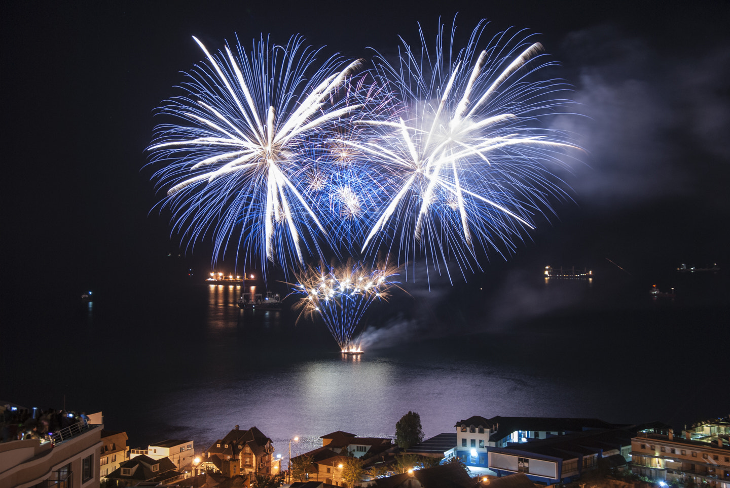 Nikon D80 sample photo. Fireworks photography