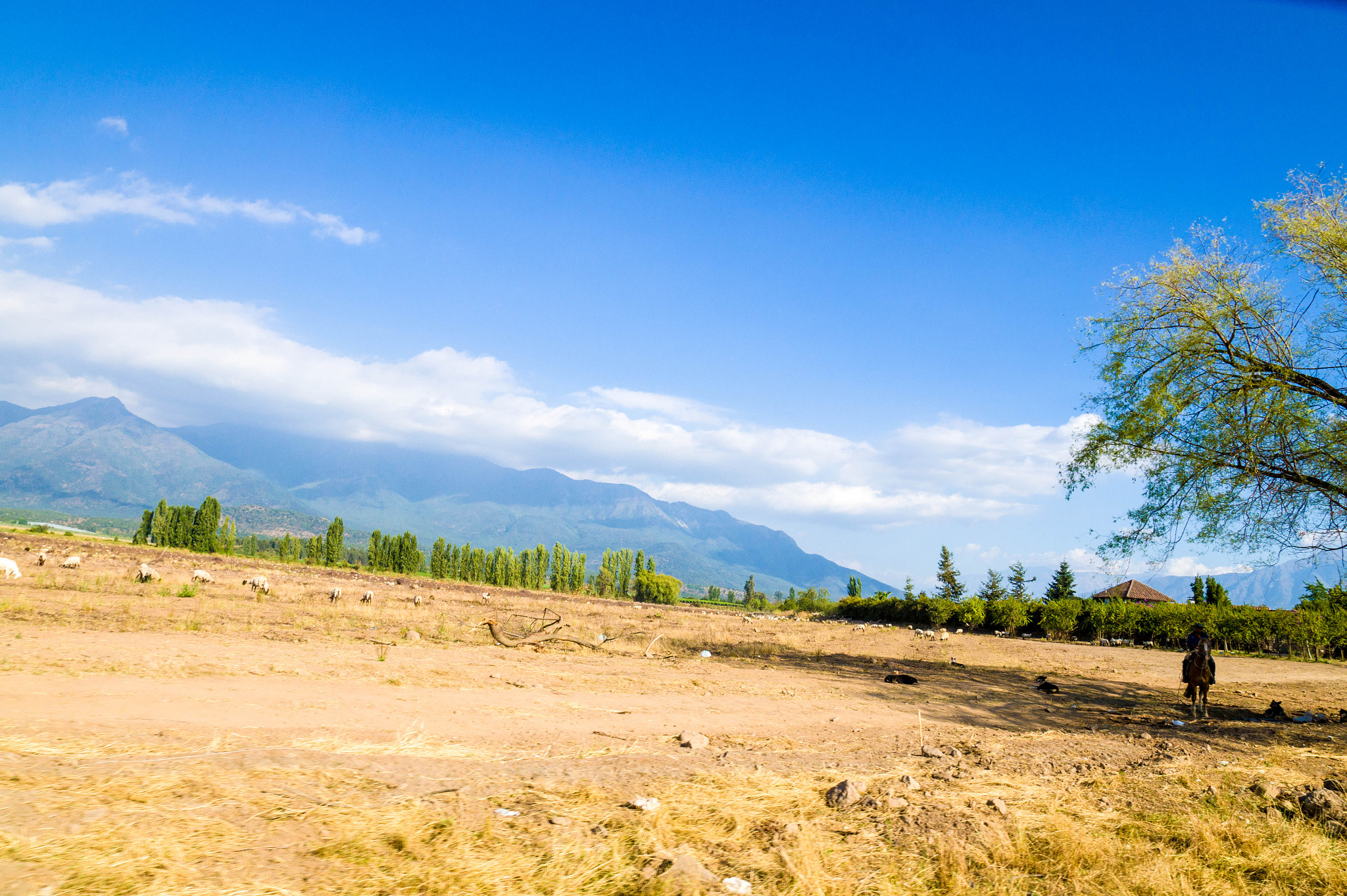 Sony SLT-A58 + Sony DT 16-50mm F2.8 SSM sample photo. Campesino photography