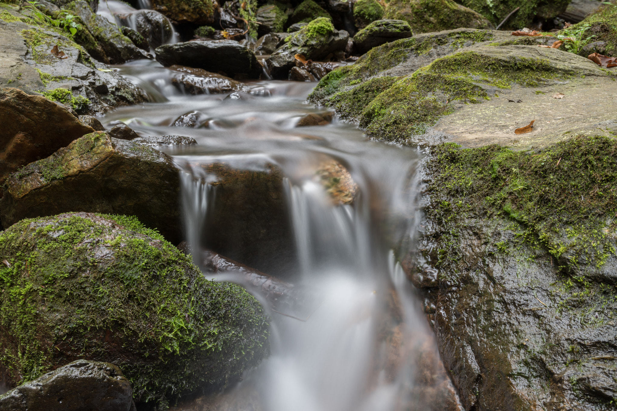 Sigma 17-50mm F2.8 EX DC OS HSM sample photo. Nature shot with smooth water photography