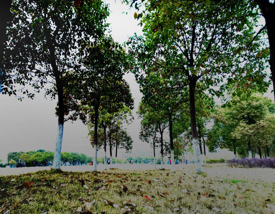 Nokia Lumia 1520 sample photo. A piece of bush in the school. photography