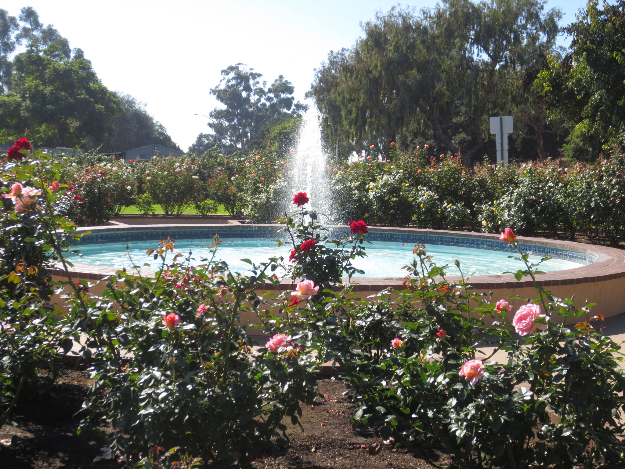 Canon POWERSHOT ELPH 320 HS sample photo. Balboa park photography
