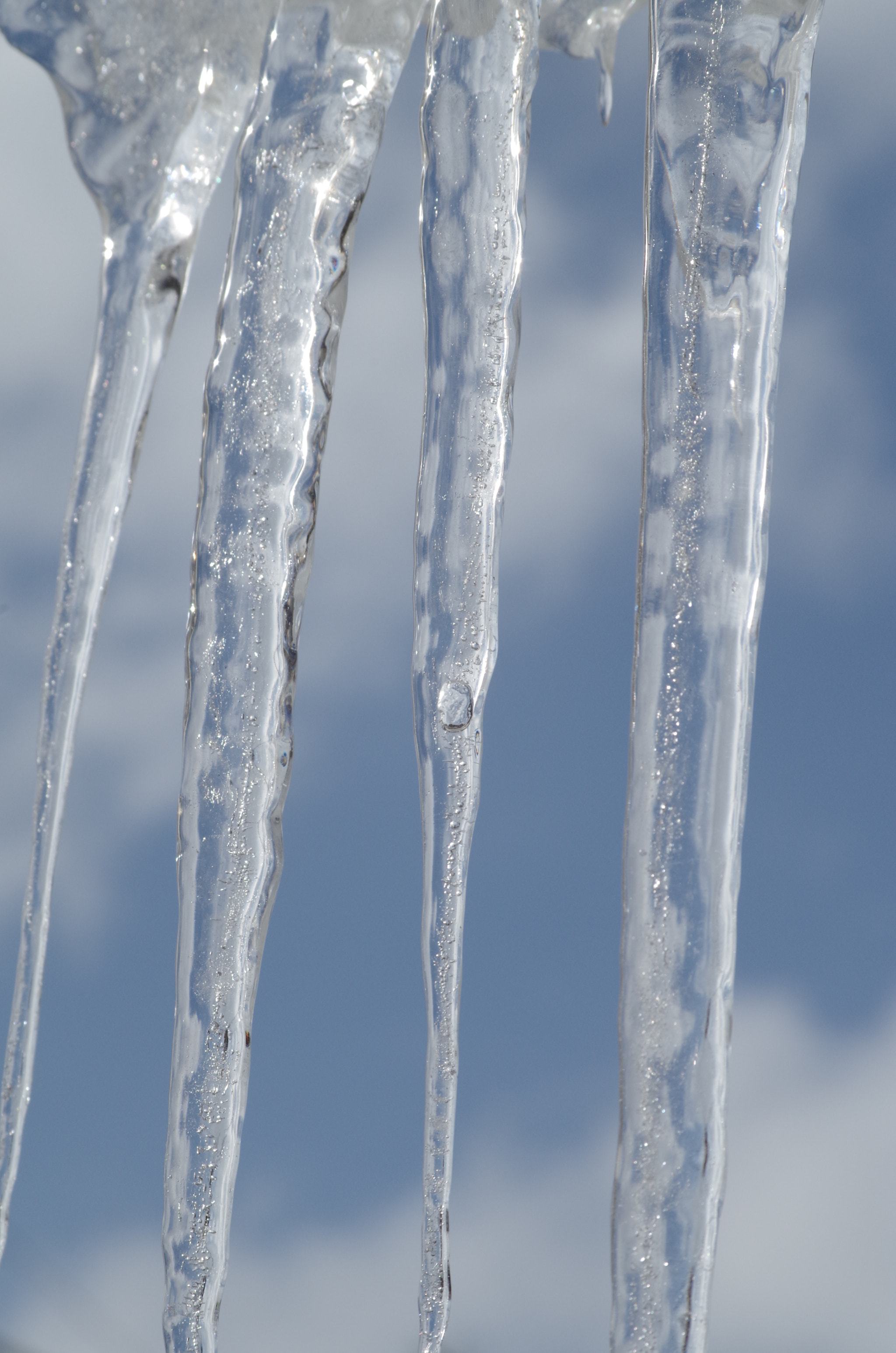 Pentax K-30 sample photo. Icicles photography