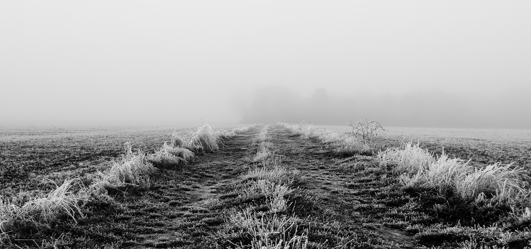 Panasonic Lumix DMC-GX85 (Lumix DMC-GX80 / Lumix DMC-GX7 Mark II) sample photo. Frozen path in countryside photography