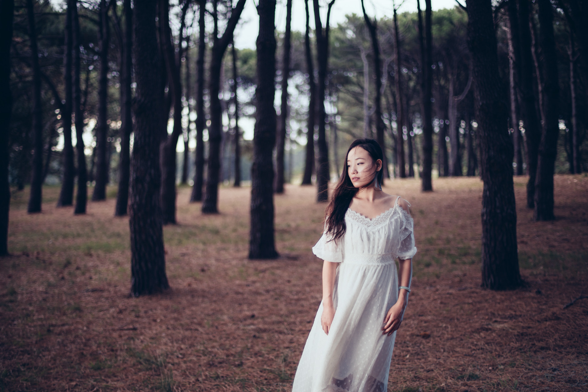 Canon EOS 5DS + Canon EF 50mm F1.4 USM sample photo