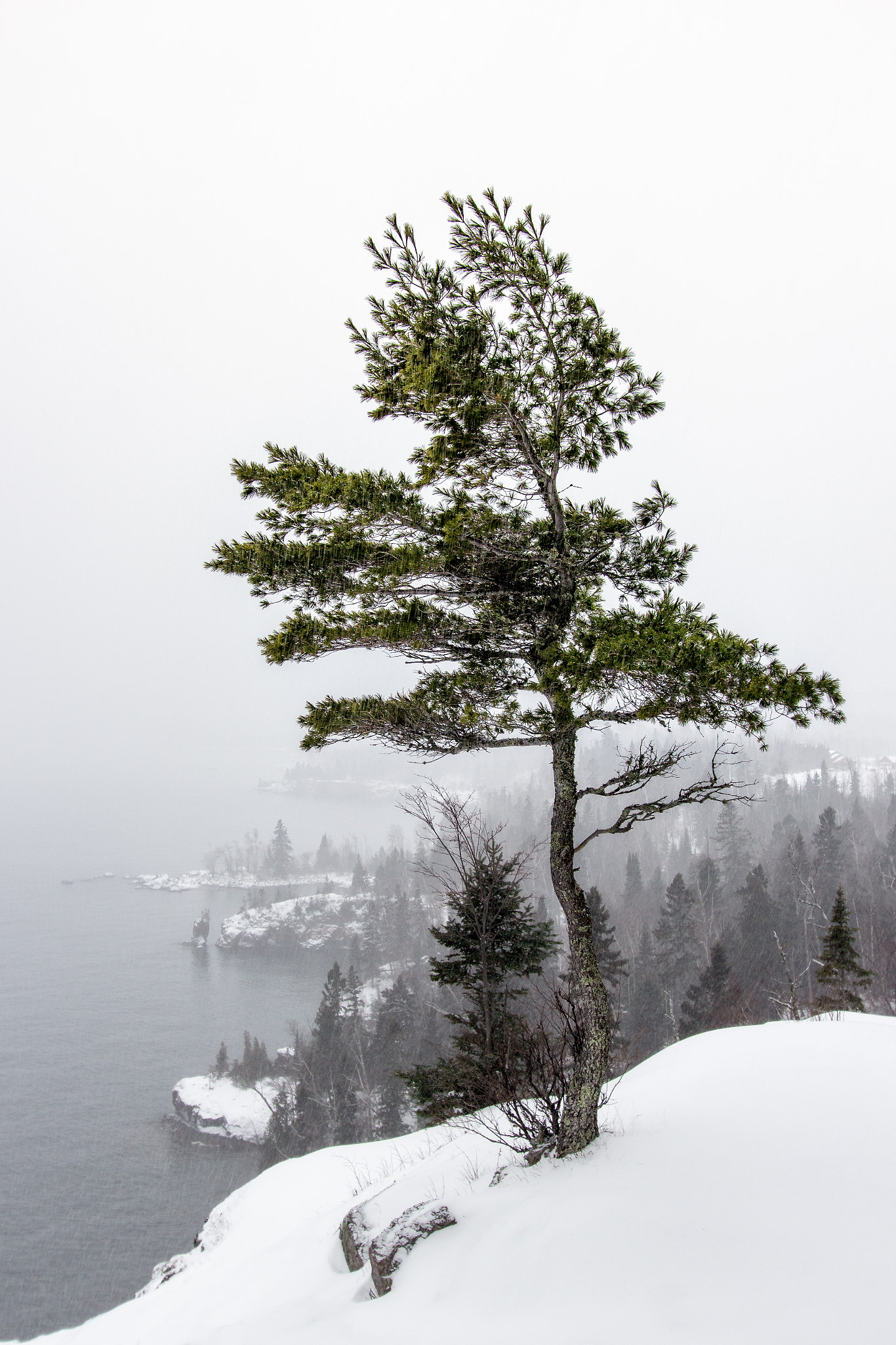 Canon EF-S 10-22mm F3.5-4.5 USM sample photo. Winter at shovel point photography