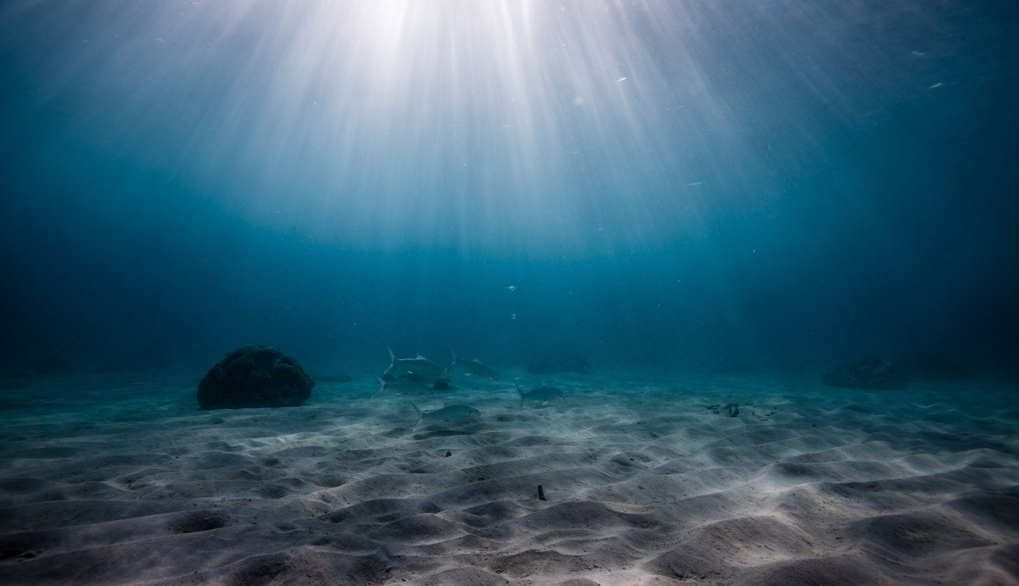 Nikon AF-S Nikkor 17-35mm F2.8D ED-IF sample photo. Bonefish at sunset photography