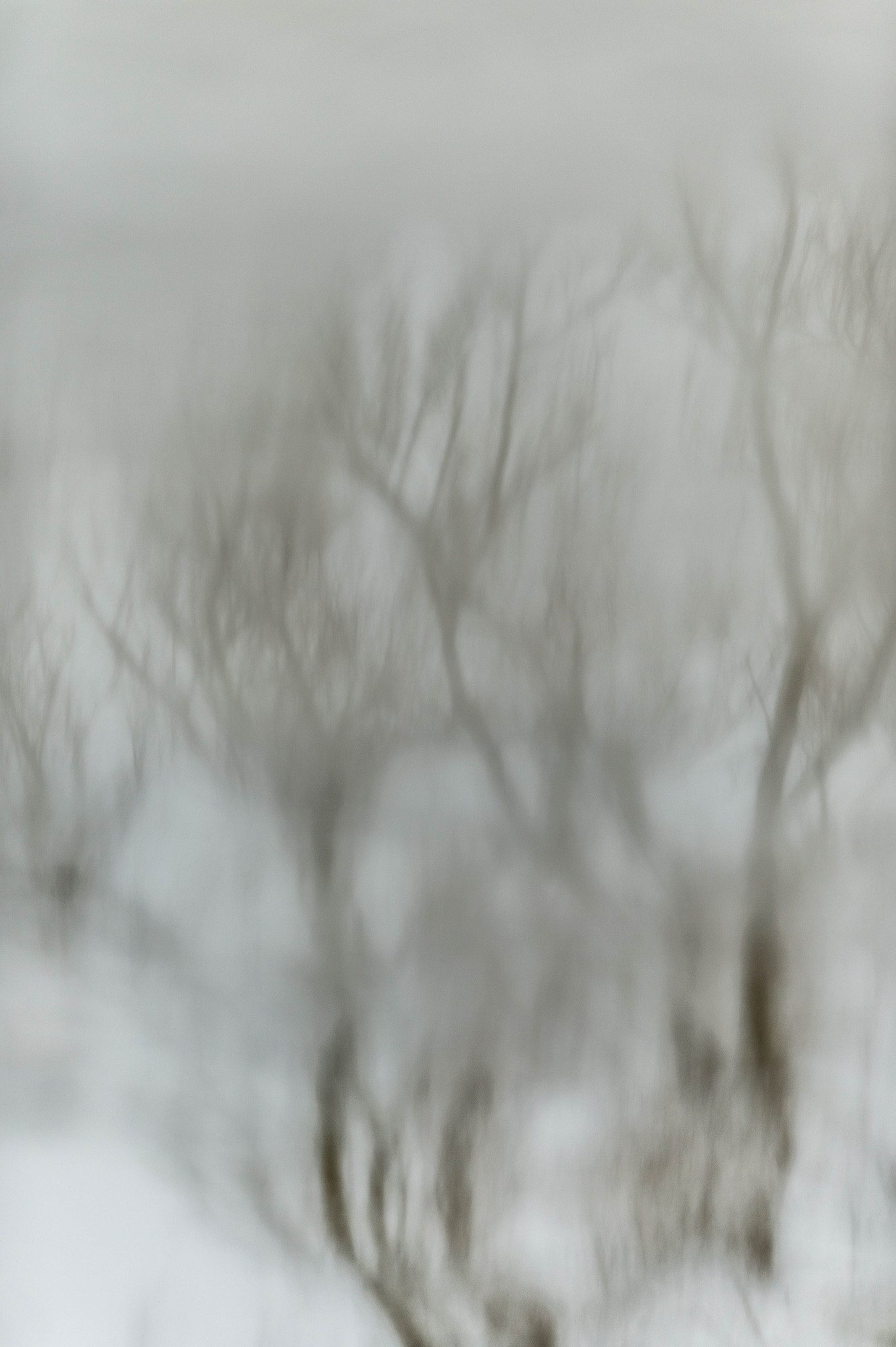 Nikon AF-S Nikkor 400mm F2.8G ED VR II sample photo. Dsc photography