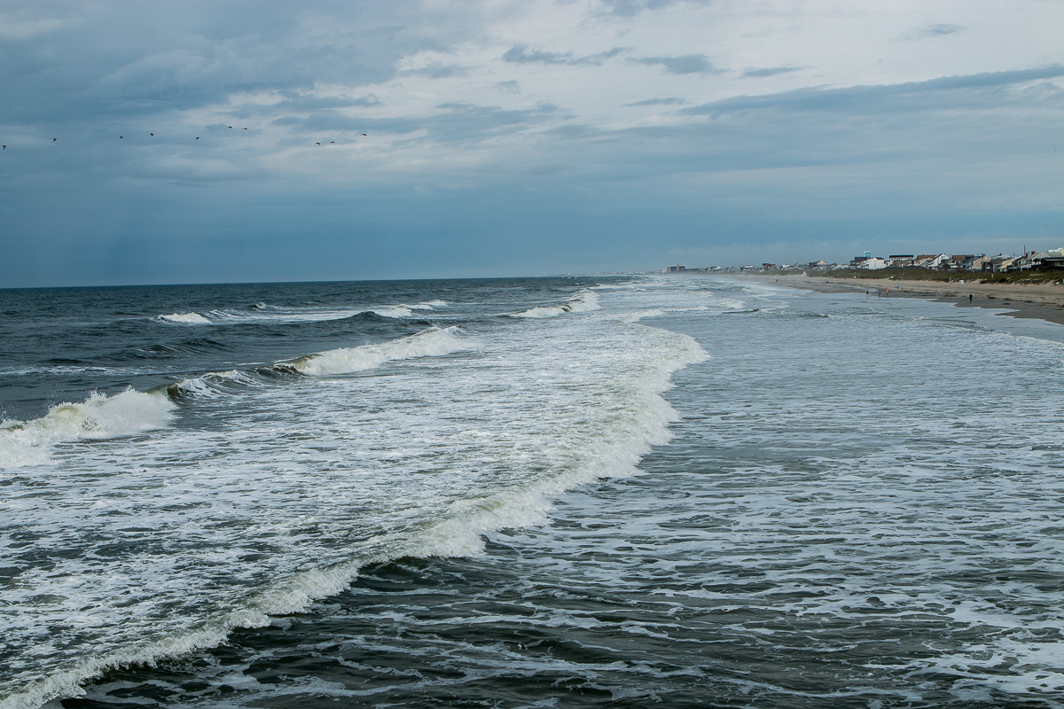 Canon EOS 70D + Canon EF 24-70mm F2.8L USM sample photo. Beaches pine knoll photography