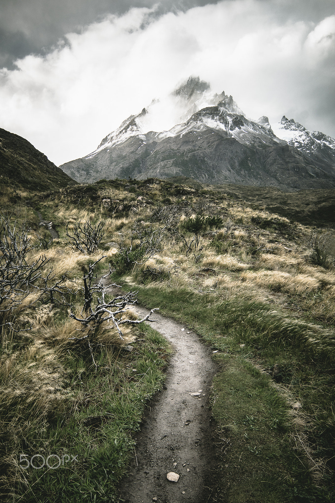 Sony SLT-A58 + 20mm F2.8 sample photo. Walking on patagonia photography