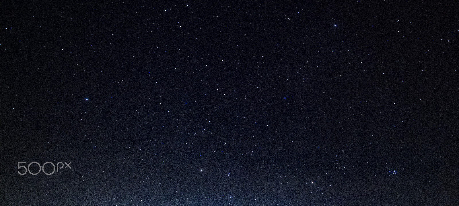 Sigma 10-20mm F3.5 EX DC HSM sample photo. Up photography