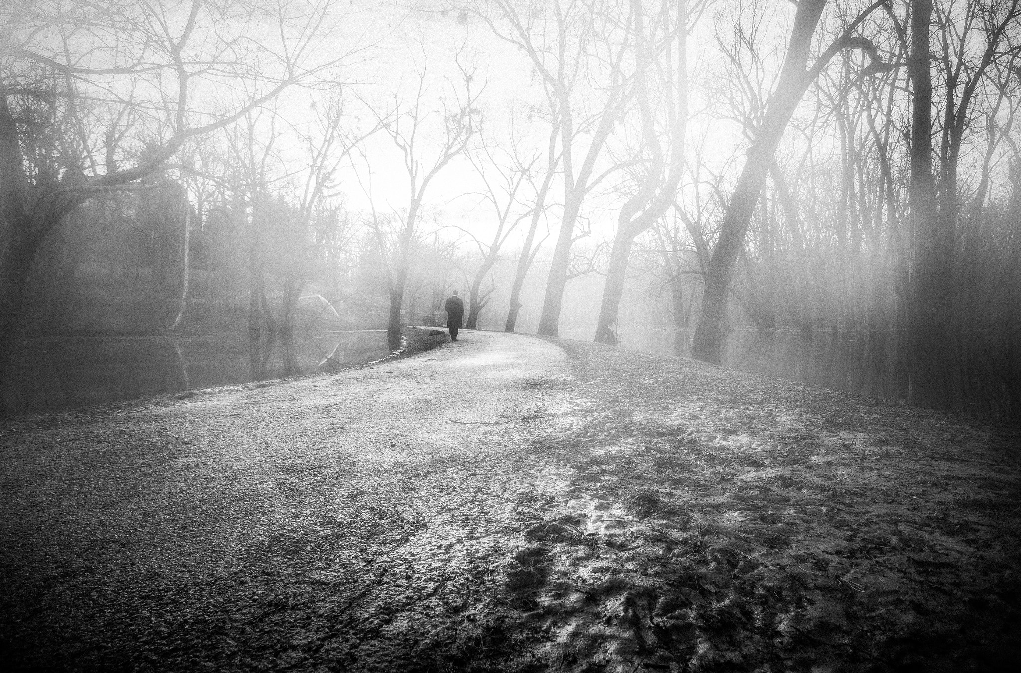 Tokina AT-X Pro 12-24mm F4 (IF) DX sample photo. Into the cold photography