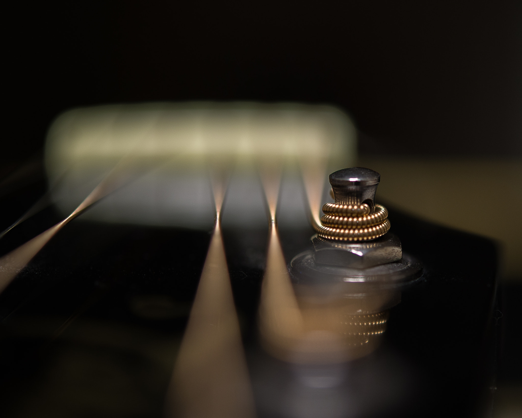 Nikon AF-S Micro-Nikkor 60mm F2.8G ED sample photo. Epiphone photography