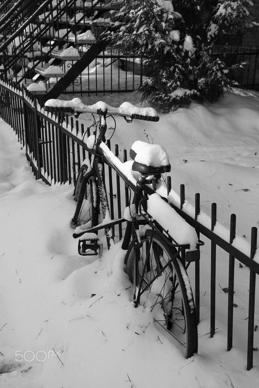 Sony SLT-A65 (SLT-A65V) + DT 18-270mm F3.5-6.3 SSM sample photo. Bike in winter photography