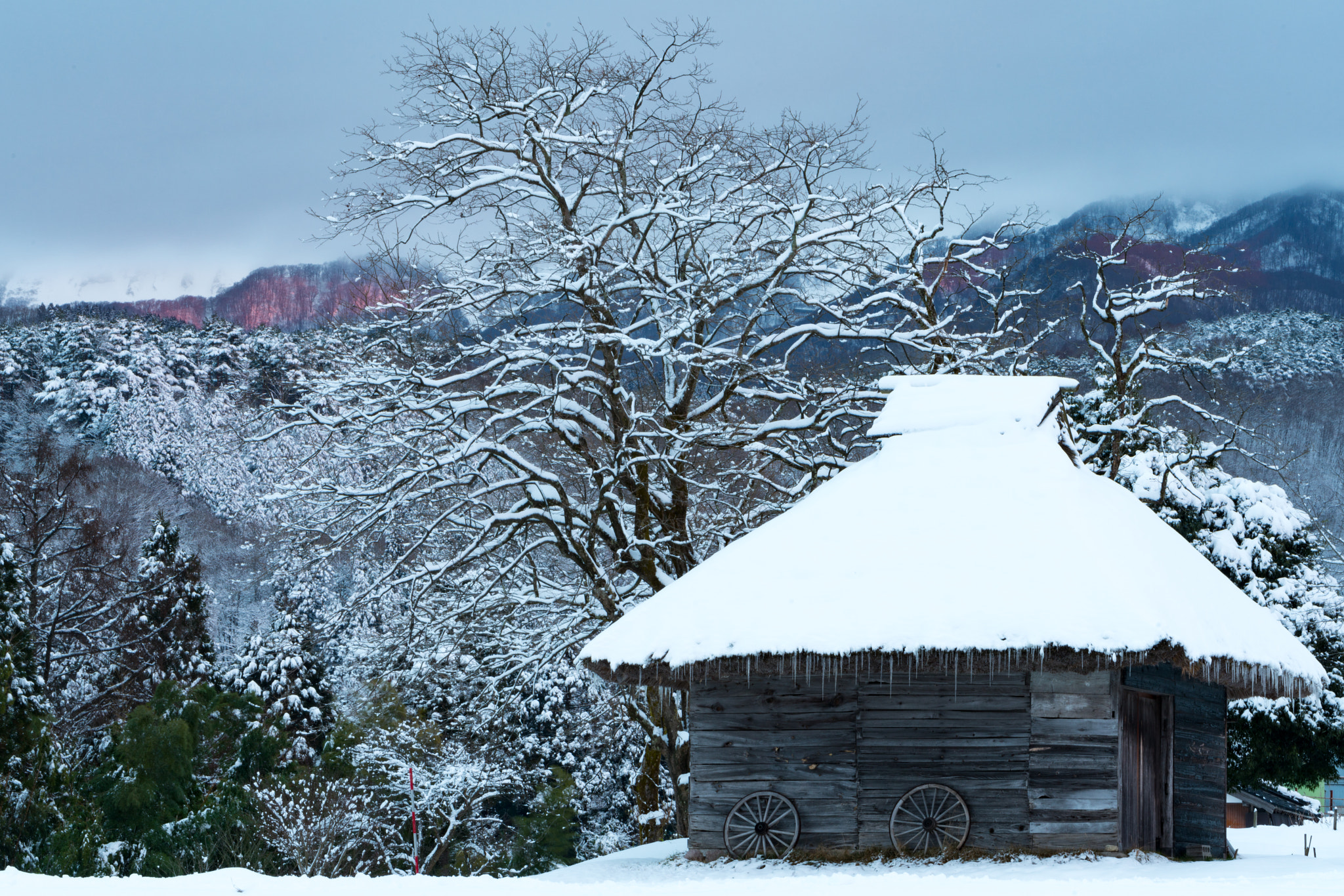 Sony a99 II + Sony 70-400mm F4-5.6 G SSM II sample photo. Japanese house photography