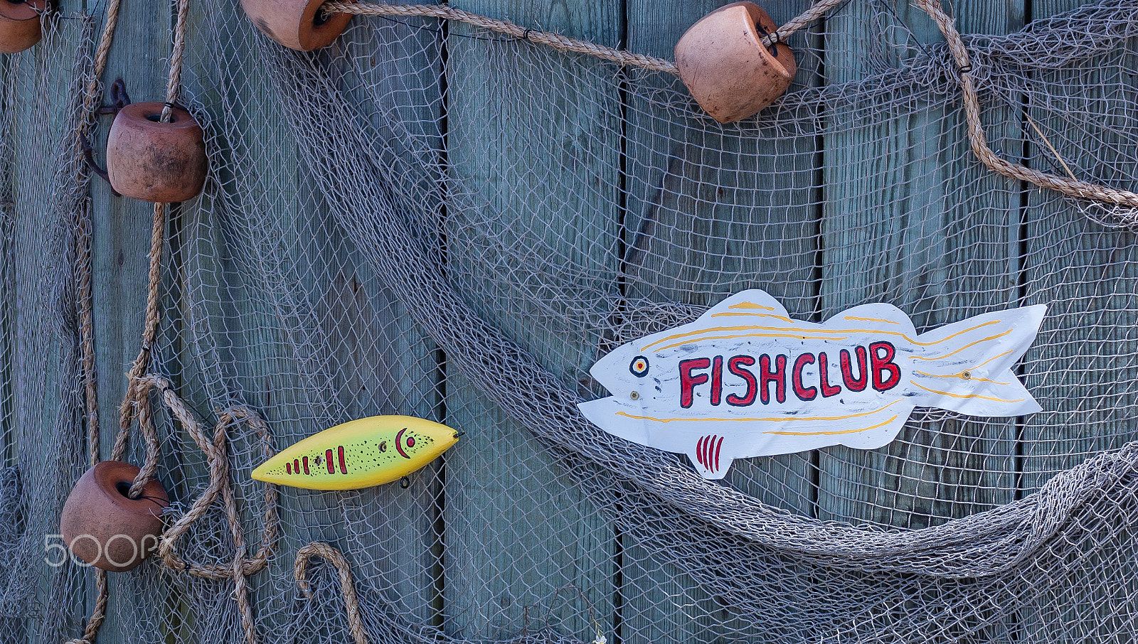 Nikon D50 sample photo. Fish club photography