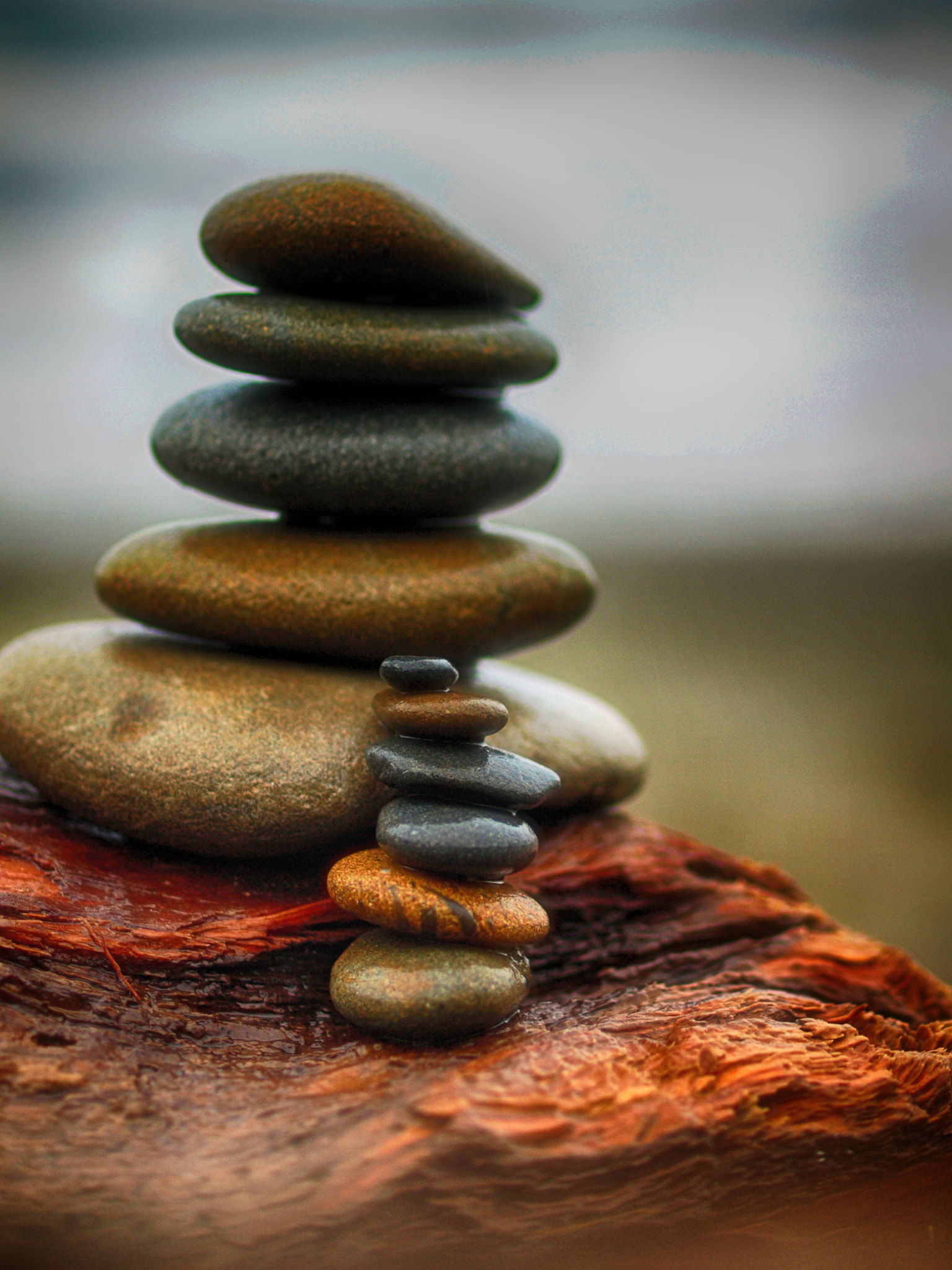 Olympus E-600 (EVOLT E-600) sample photo. A stack of stones photography