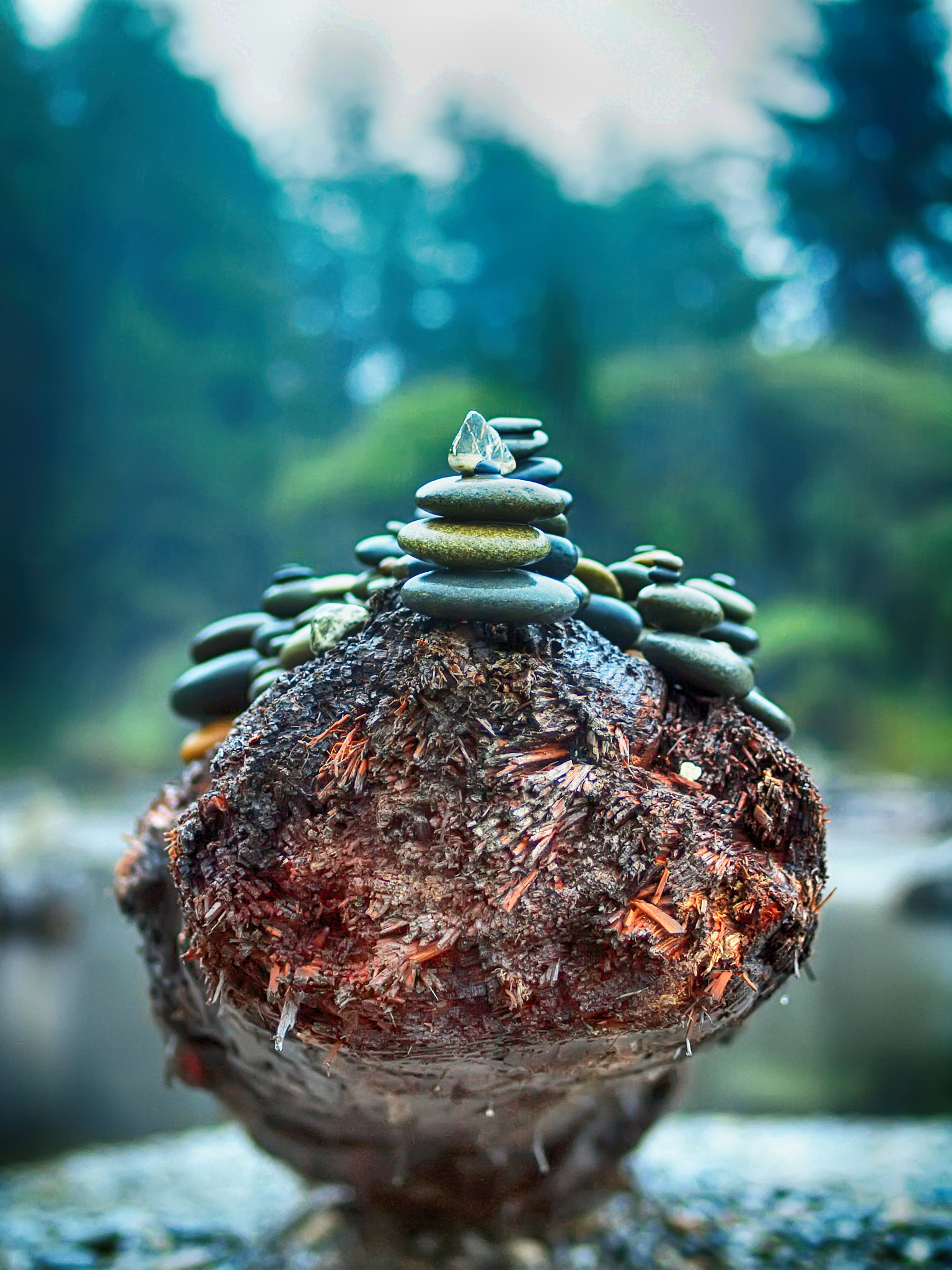 Olympus E-600 (EVOLT E-600) + OLYMPUS 50mm Lens sample photo. Stones on a rock photography