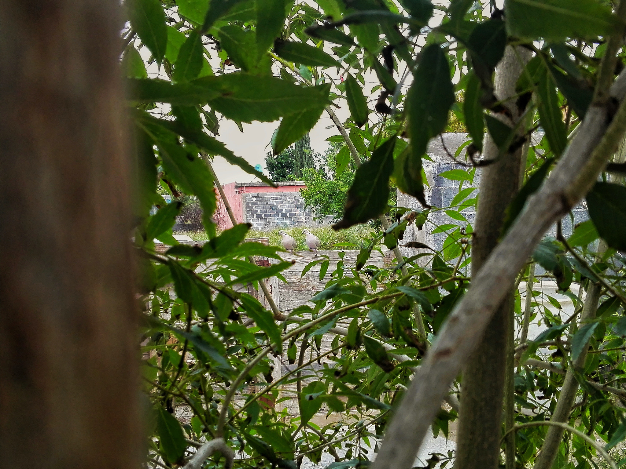 HUAWEI CHC-U03 sample photo