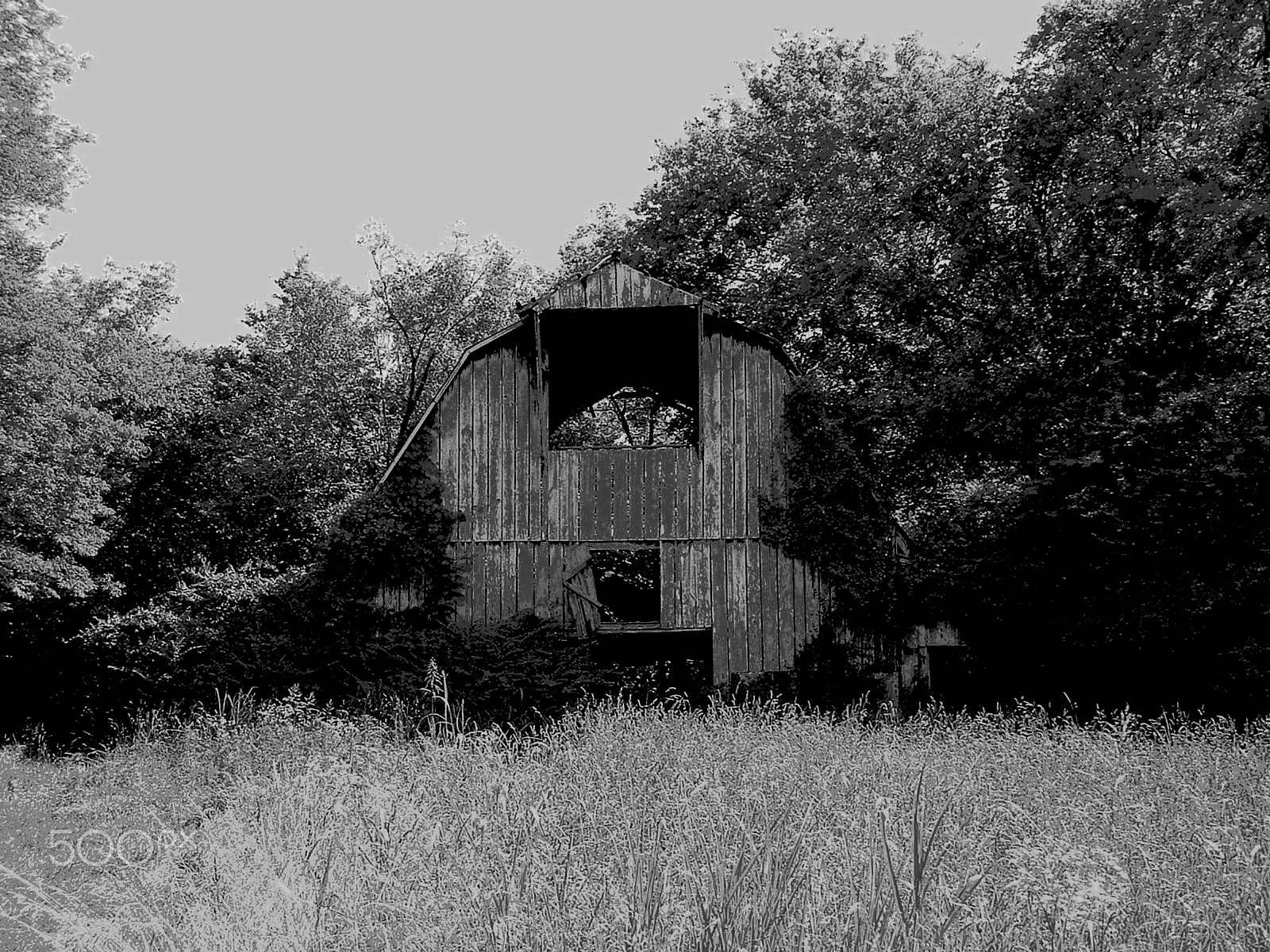 Fujifilm FinePix S3000 sample photo. Tennessee barn photography