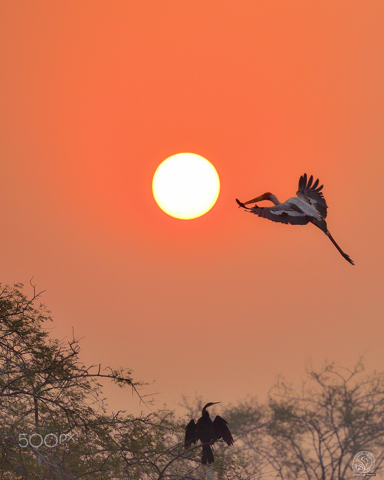 Nikon Nikkor AF-S 300mm F4E PF ED VR sample photo. Sunrise.. photography