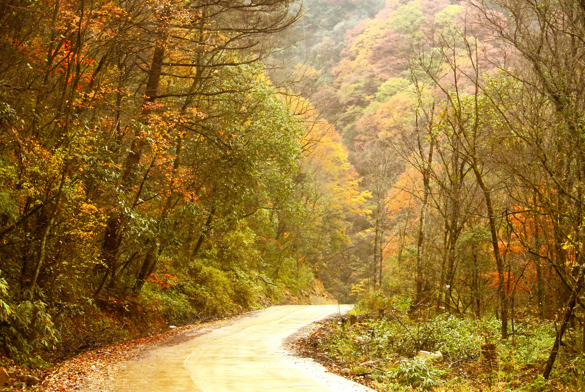 Nikon 1 Nikkor VR 30-110mm F3.8-5.6 sample photo. 四川 photography