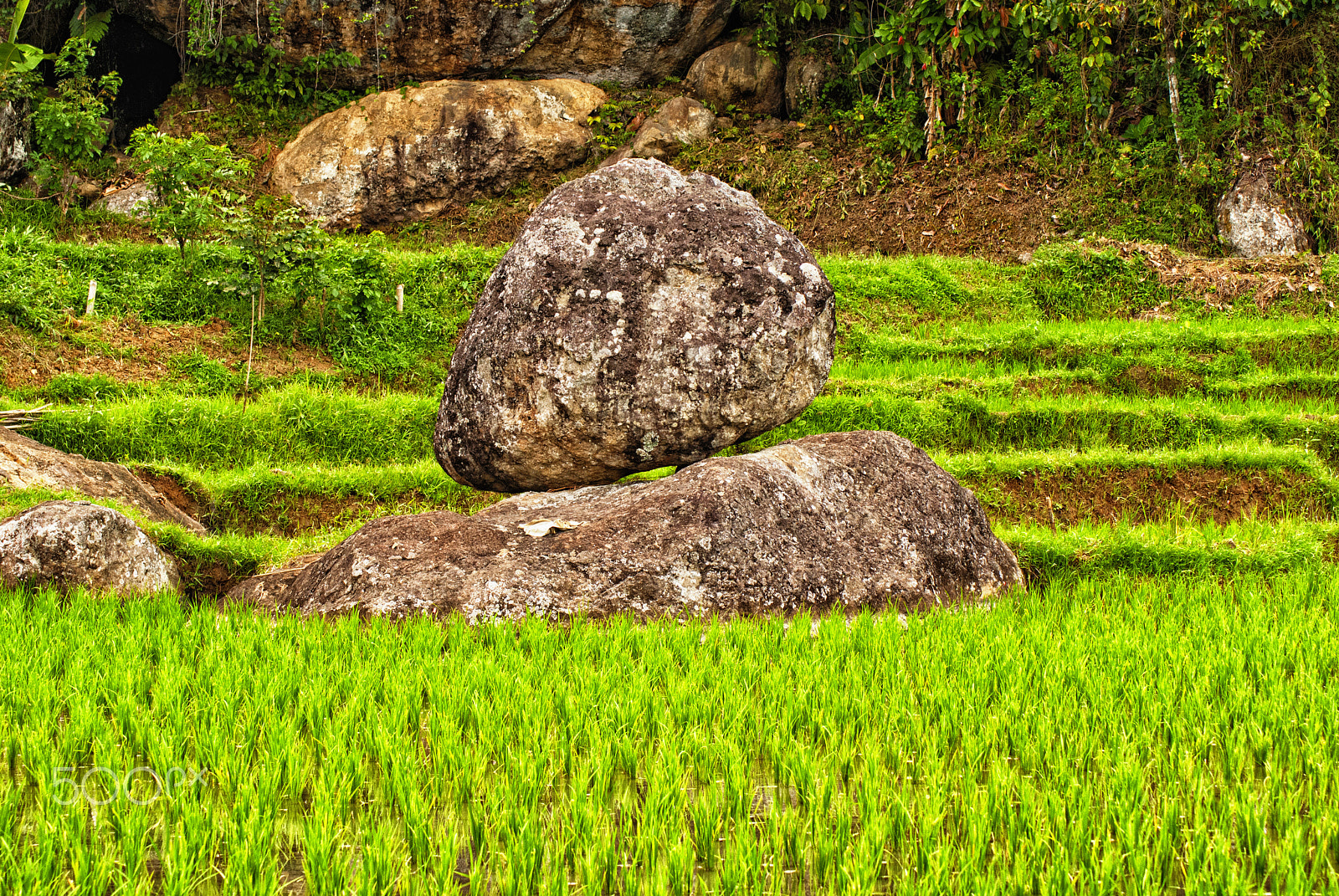 Sony Alpha DSLR-A200 sample photo. Not rolling stones photography