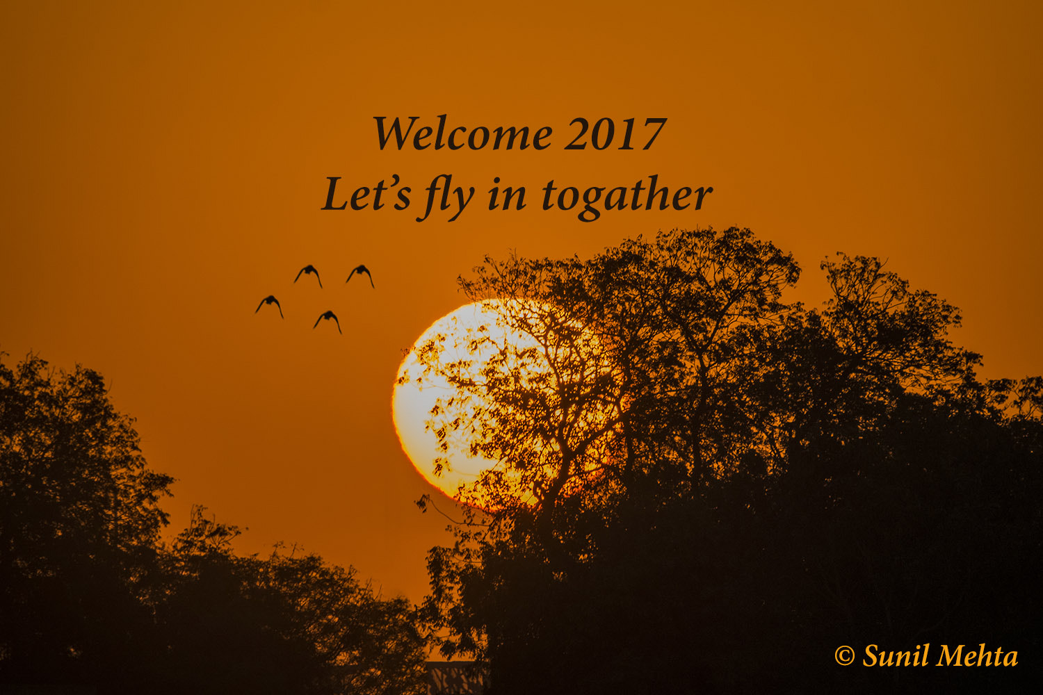 XF100-400mmF4.5-5.6 R LM OIS WR + 1.4x sample photo. Happy new year 2017 photography