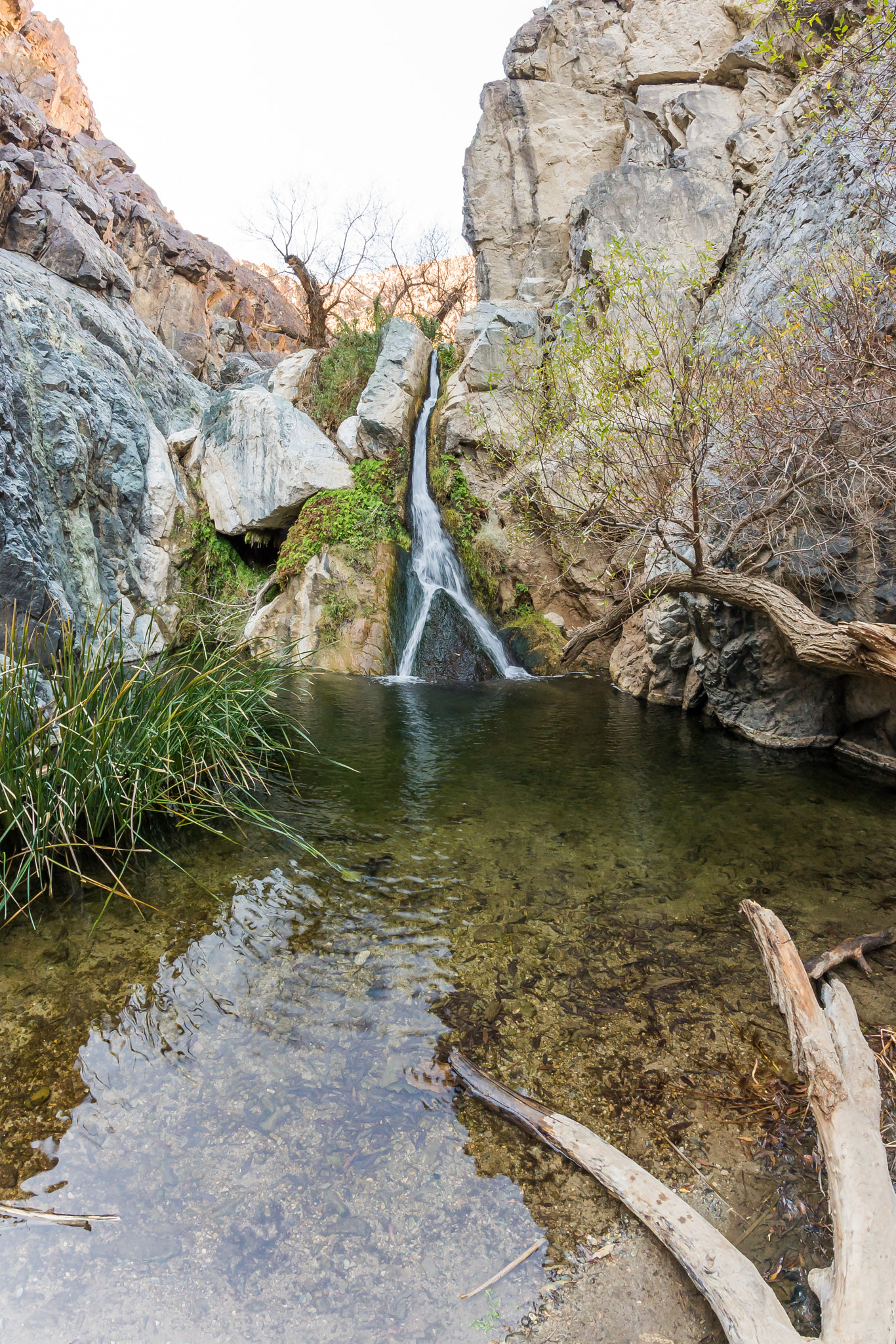 Nikon D4 + Samyang 12mm F2.8 ED AS NCS Fisheye sample photo. Darwin falls photography