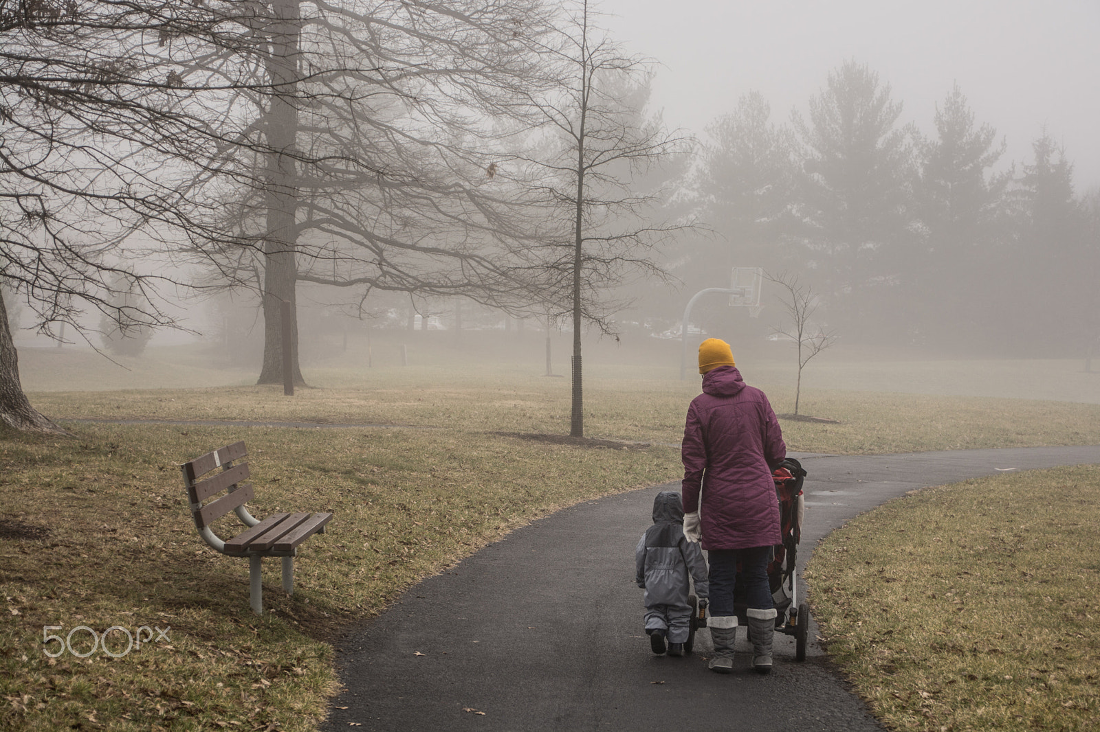 Sigma 28-300mm F3.5-6.3 DG Macro sample photo. Foggy park wall  photography