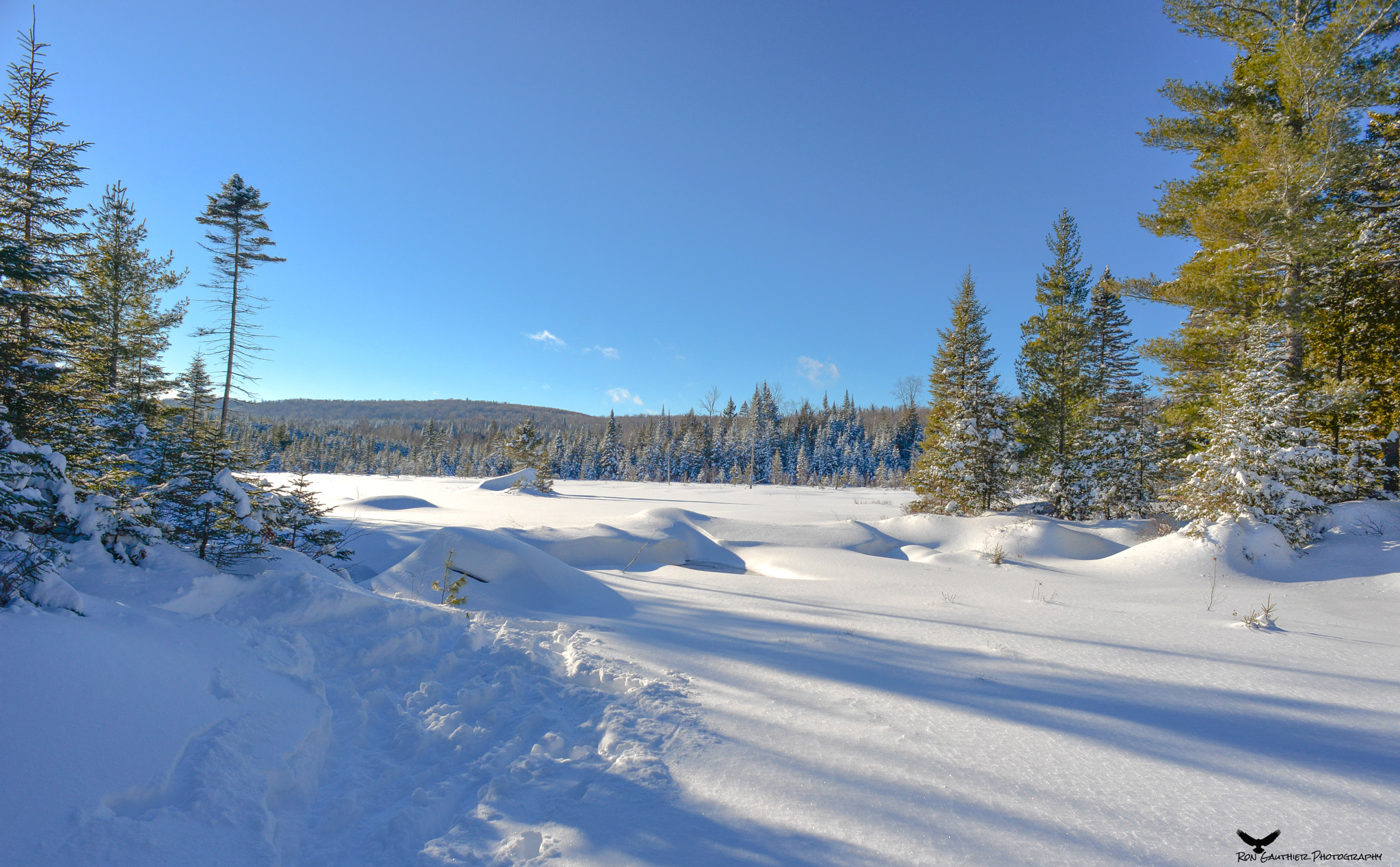 Nikon D610 sample photo. Beautiful sunday snowshoe hike ! photography
