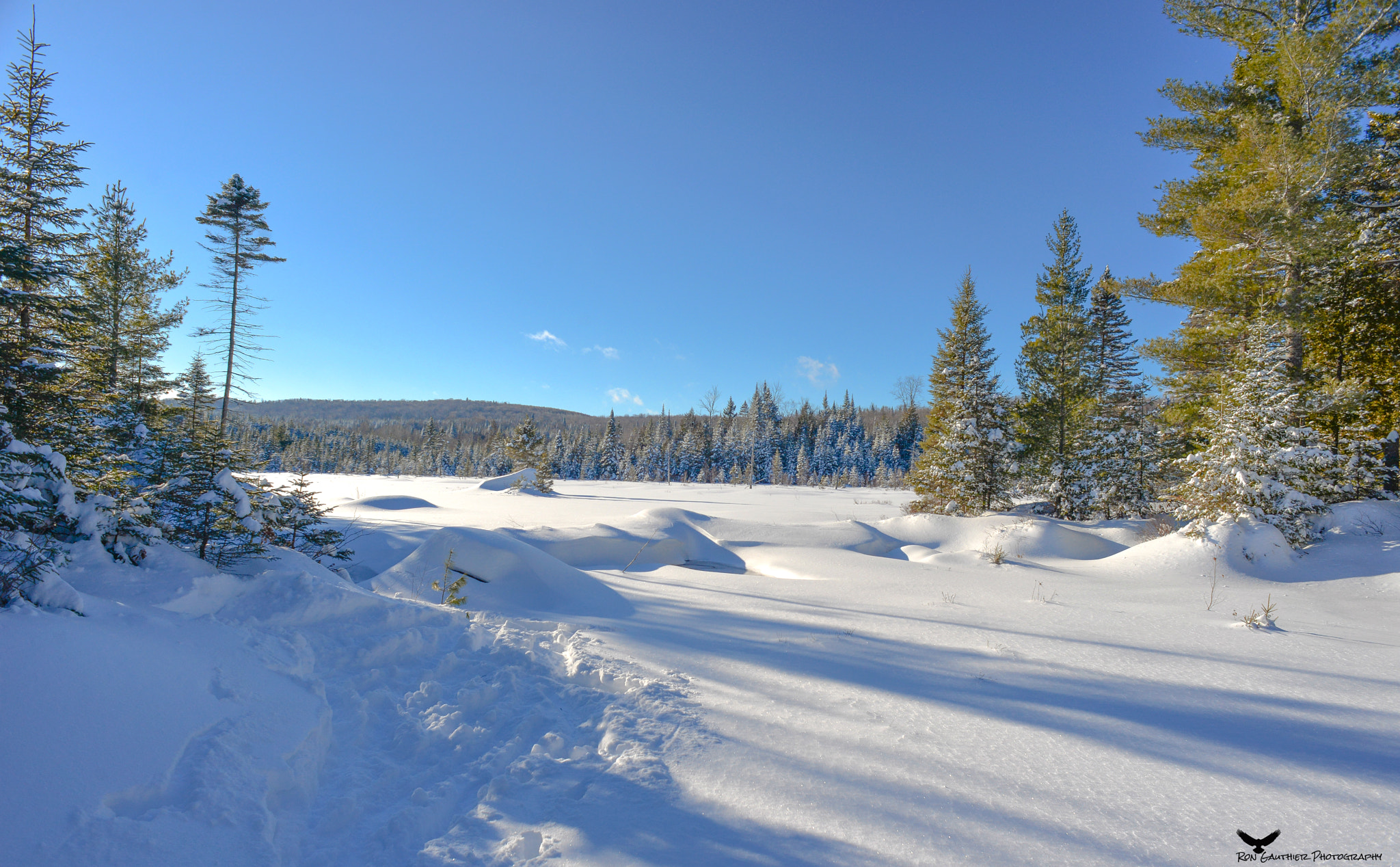 Nikon D610 + Nikon AF Nikkor 20mm F2.8D sample photo. Beautiful sunday snowshoe hike ! photography