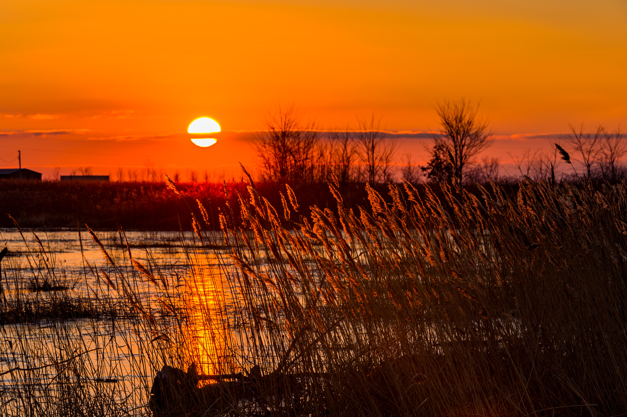 Nikon Df sample photo. Sunset photography