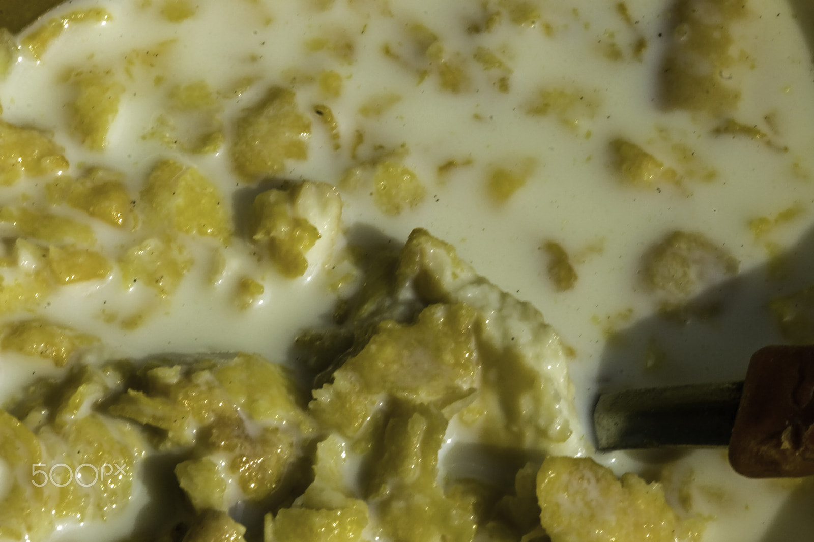 Canon EF 100mm F2.8 Macro USM sample photo. Enjoying a bowl of cornflakes photography