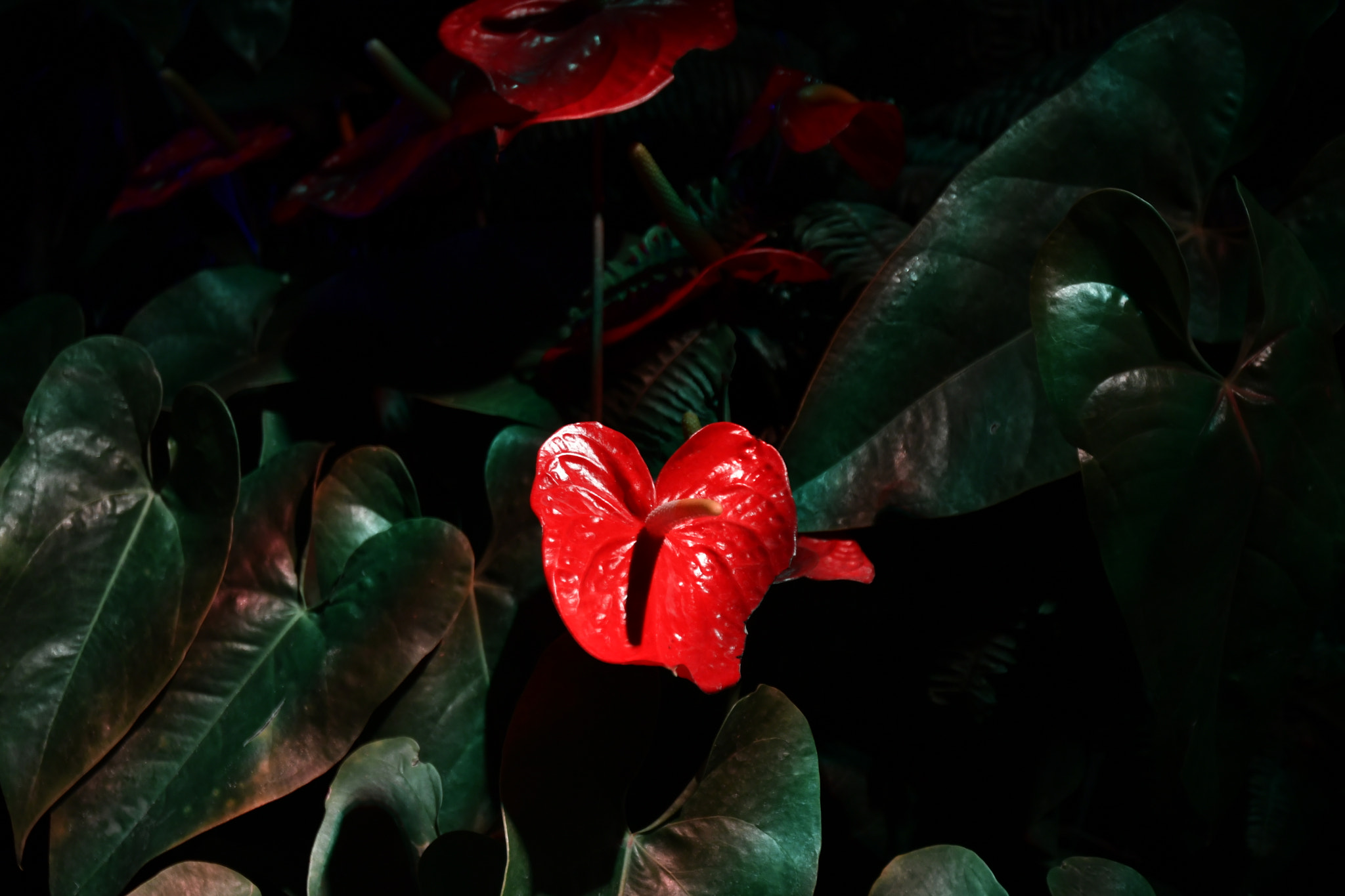 Nikon AF-S Nikkor 16-35mm F4G ED VR sample photo