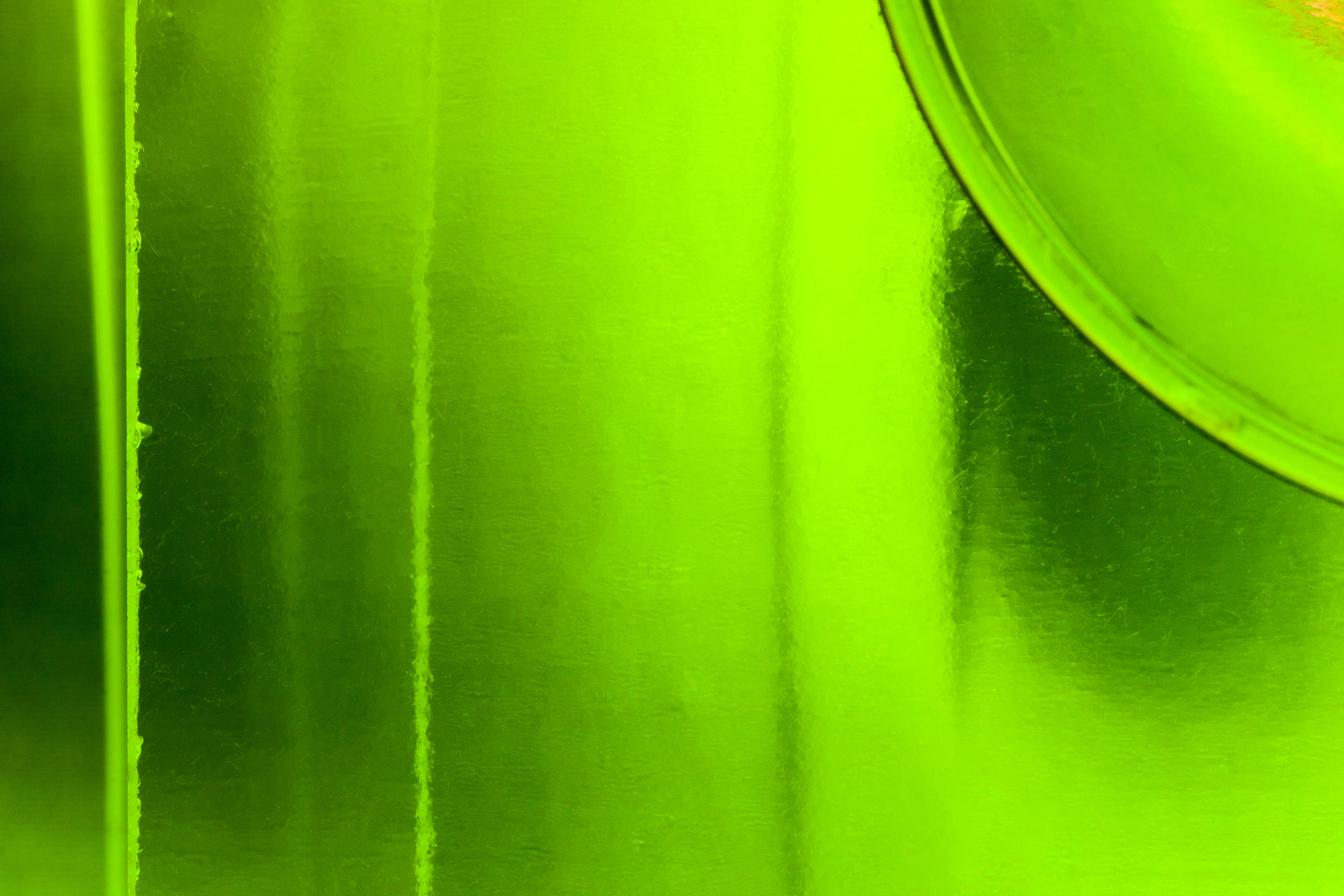 Canon EF 100mm F2.8 Macro USM sample photo. Leaf photography
