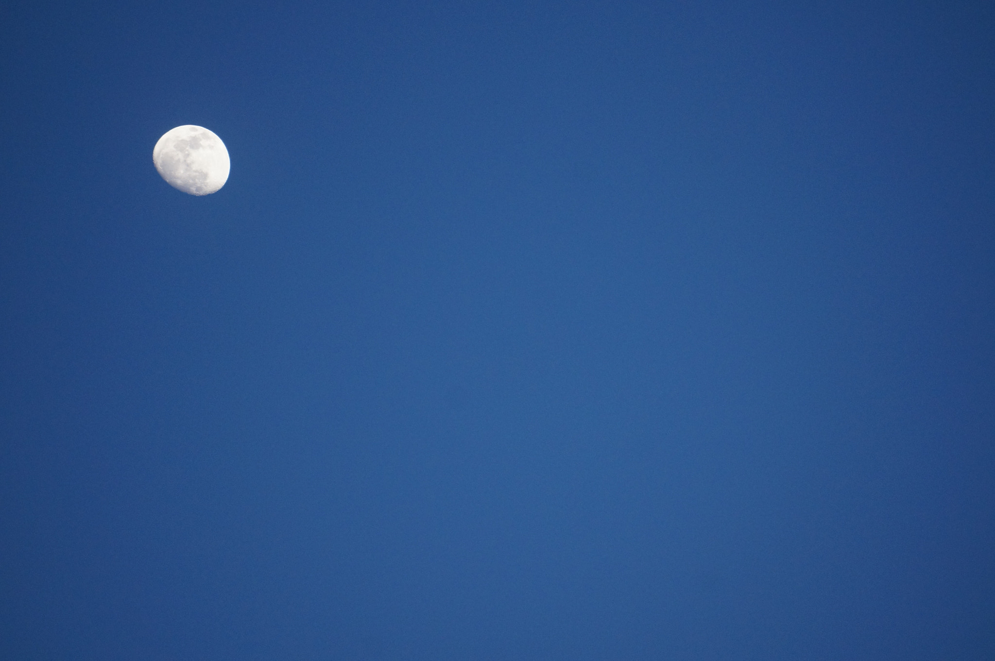 Sony Alpha NEX-5R sample photo. Single photography