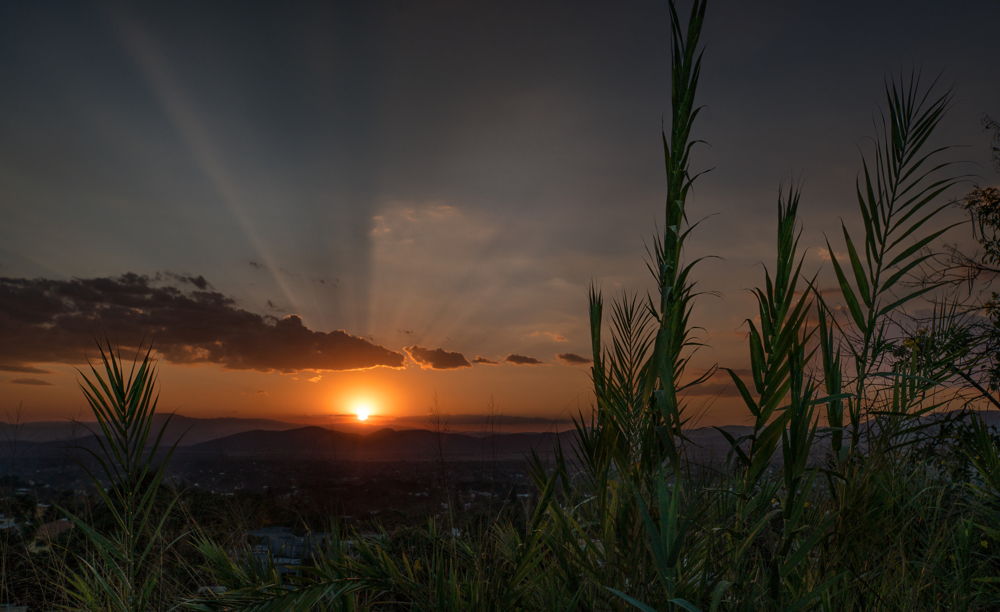 Sony a7R II + DT 0mm F0 SAM sample photo. Very last  2016 sunset photography